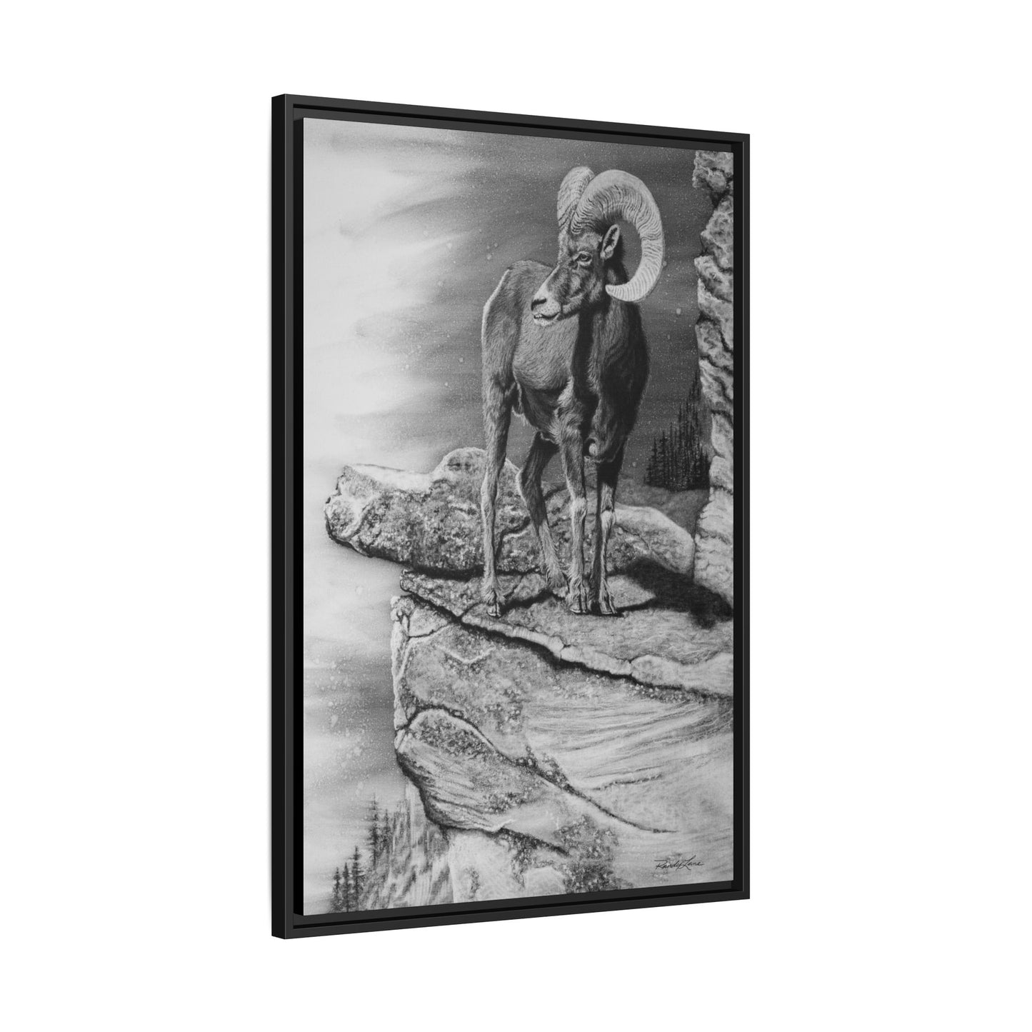 Legendary, Bighorn Sheep Framed Matte Stretched Canvas