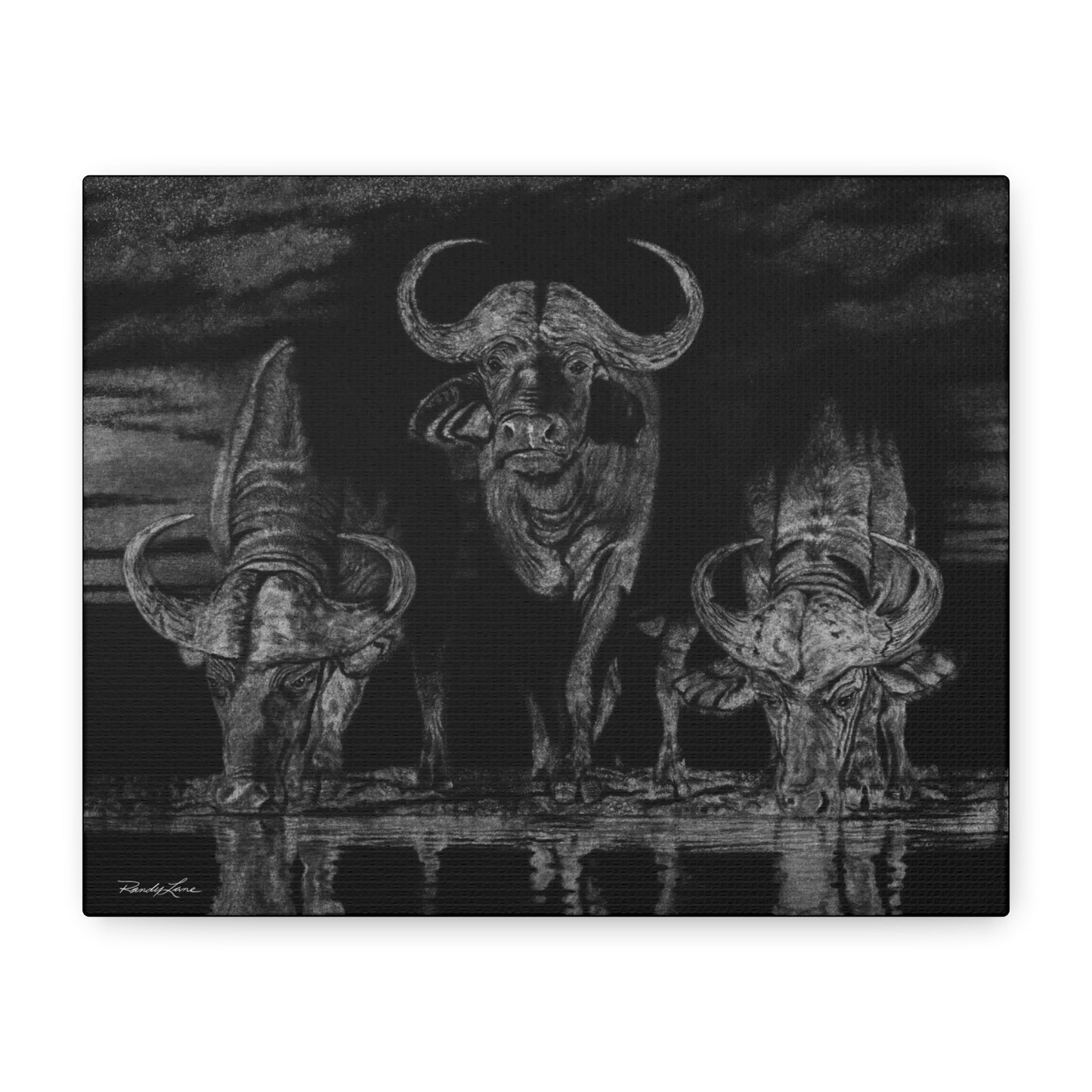 The Waterhole