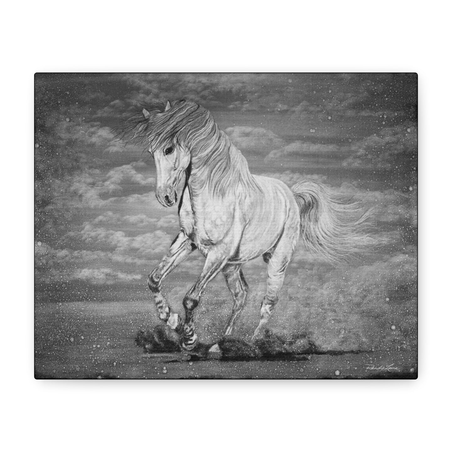 Equine Elegance