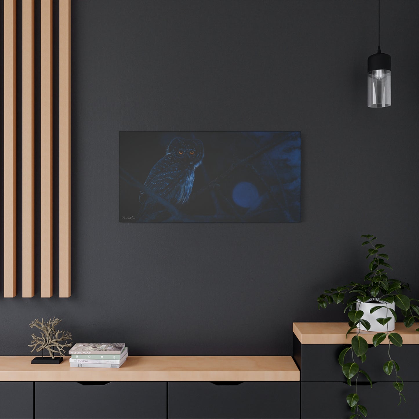 Bright Eyes, Owl Stretched Canvas Print