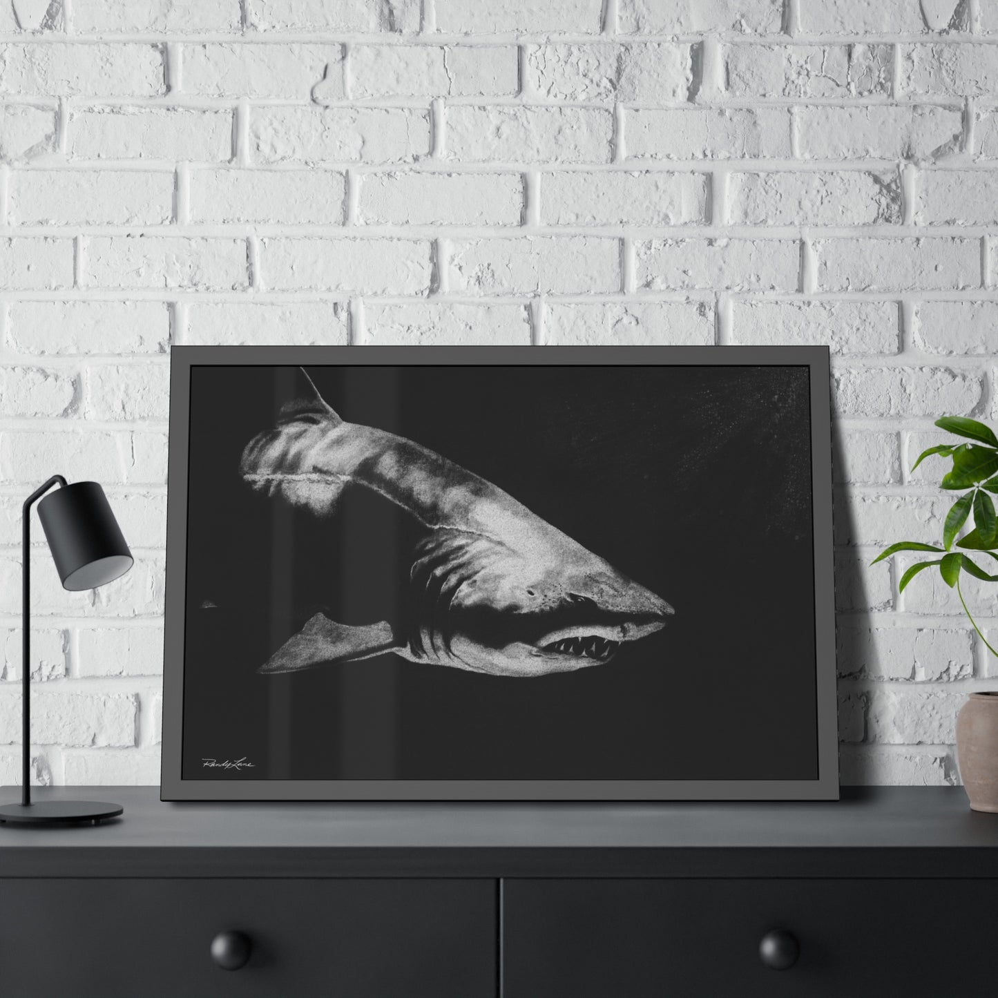 Below, Shark Framed Fine Art Print