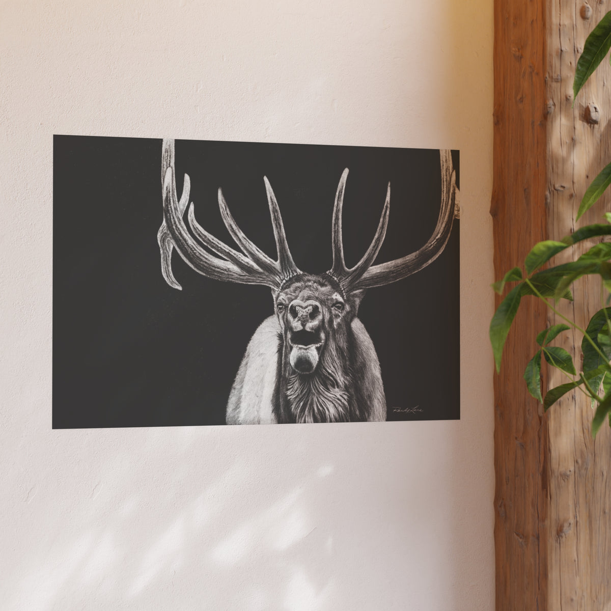 Heavy is the Crown, Bull Elk Fine Art Print (Satin or Archival Matte)