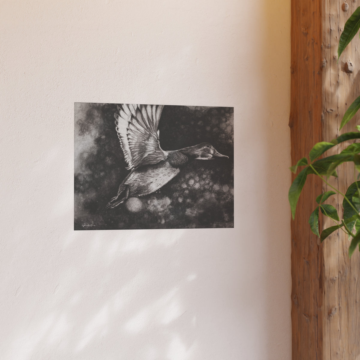 Flare, Flying Duck Fine Art Print (Satin or Archival Matte)