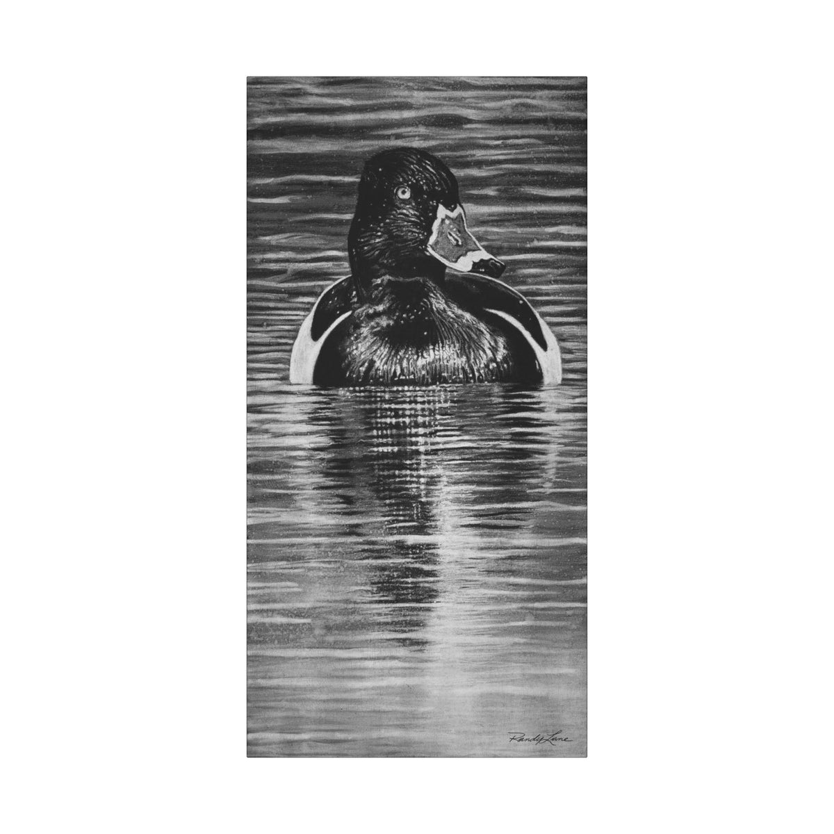 Reflection