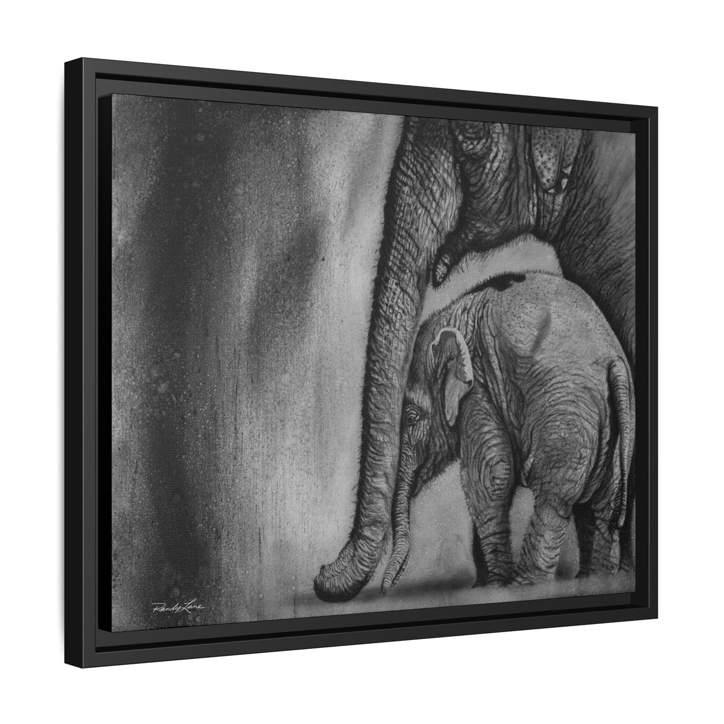 Trunks of Love, Framed Canvas Elephant Fine Art Print