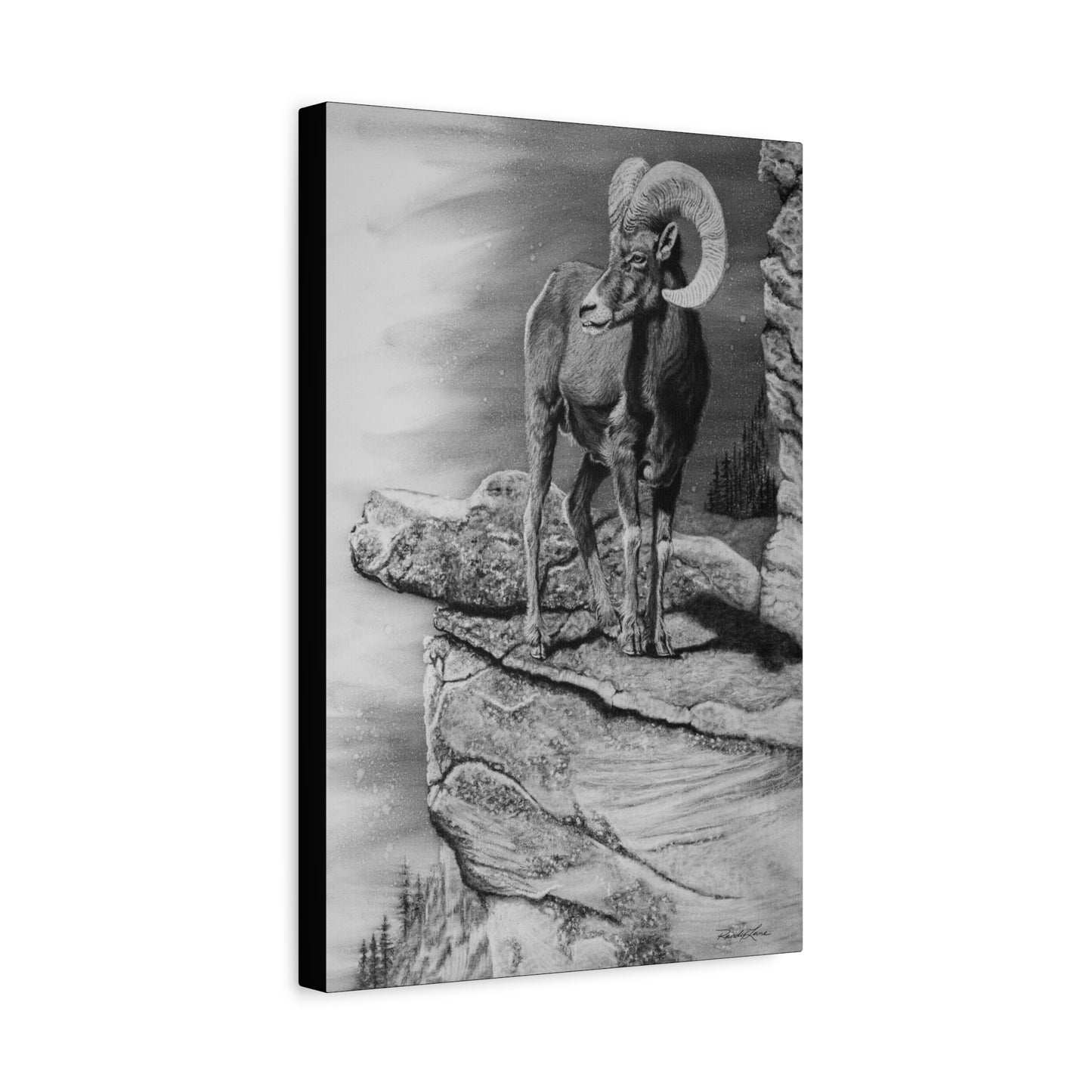 Legendary, Bighorn Sheep Stretched Canvas Wall Art