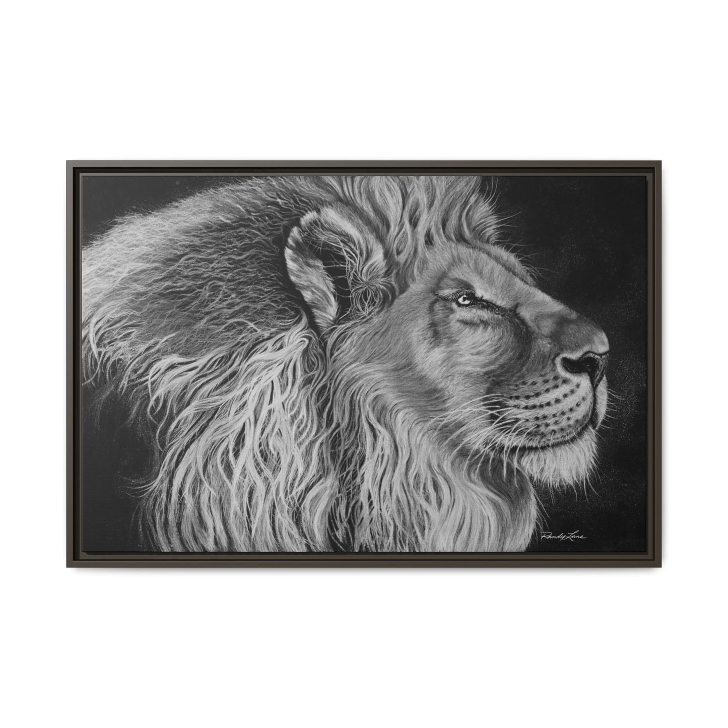 King of Cool, Majestic Lion Framed Canvas Art