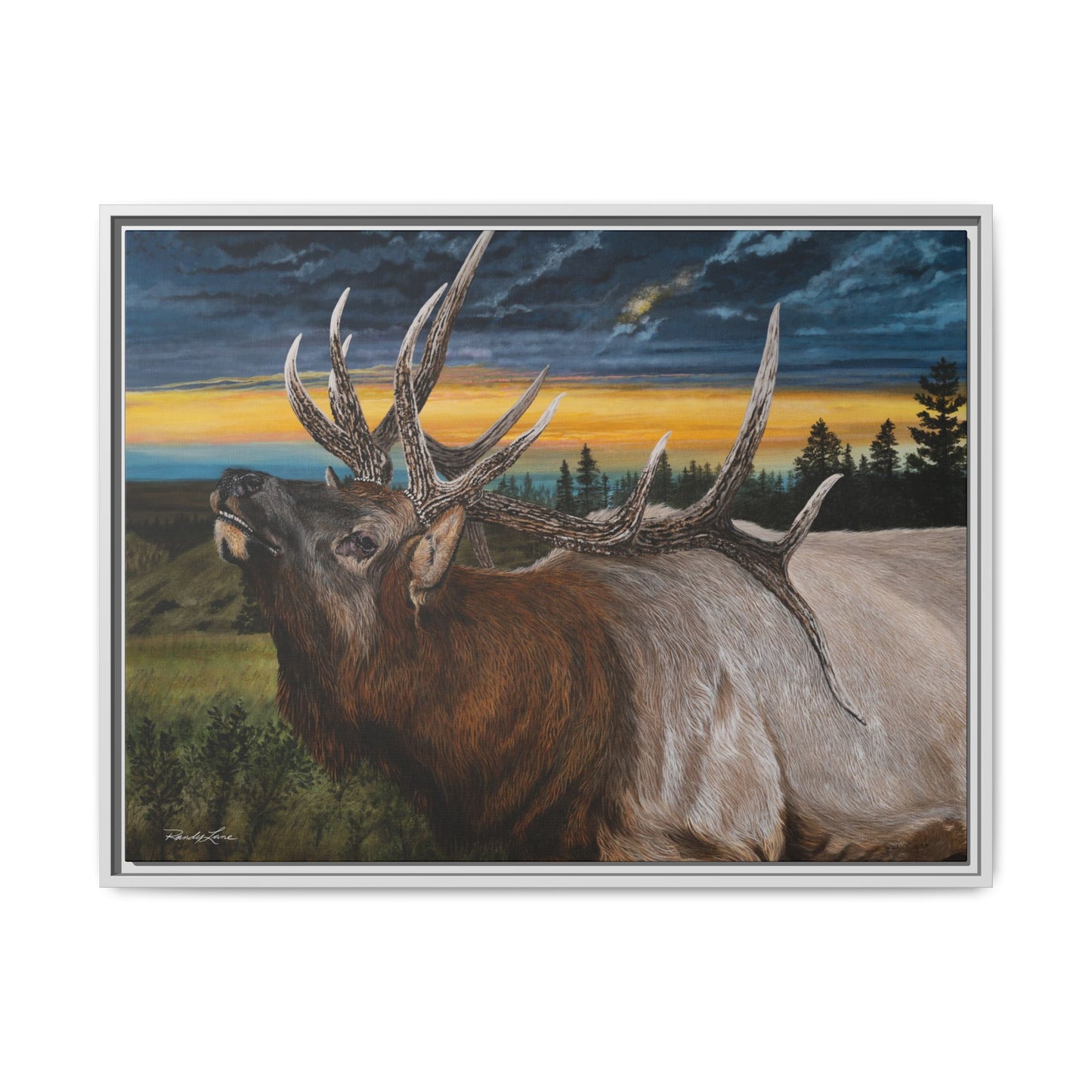 Sunset Serenade,  Elk Framed Matte Canvas Print