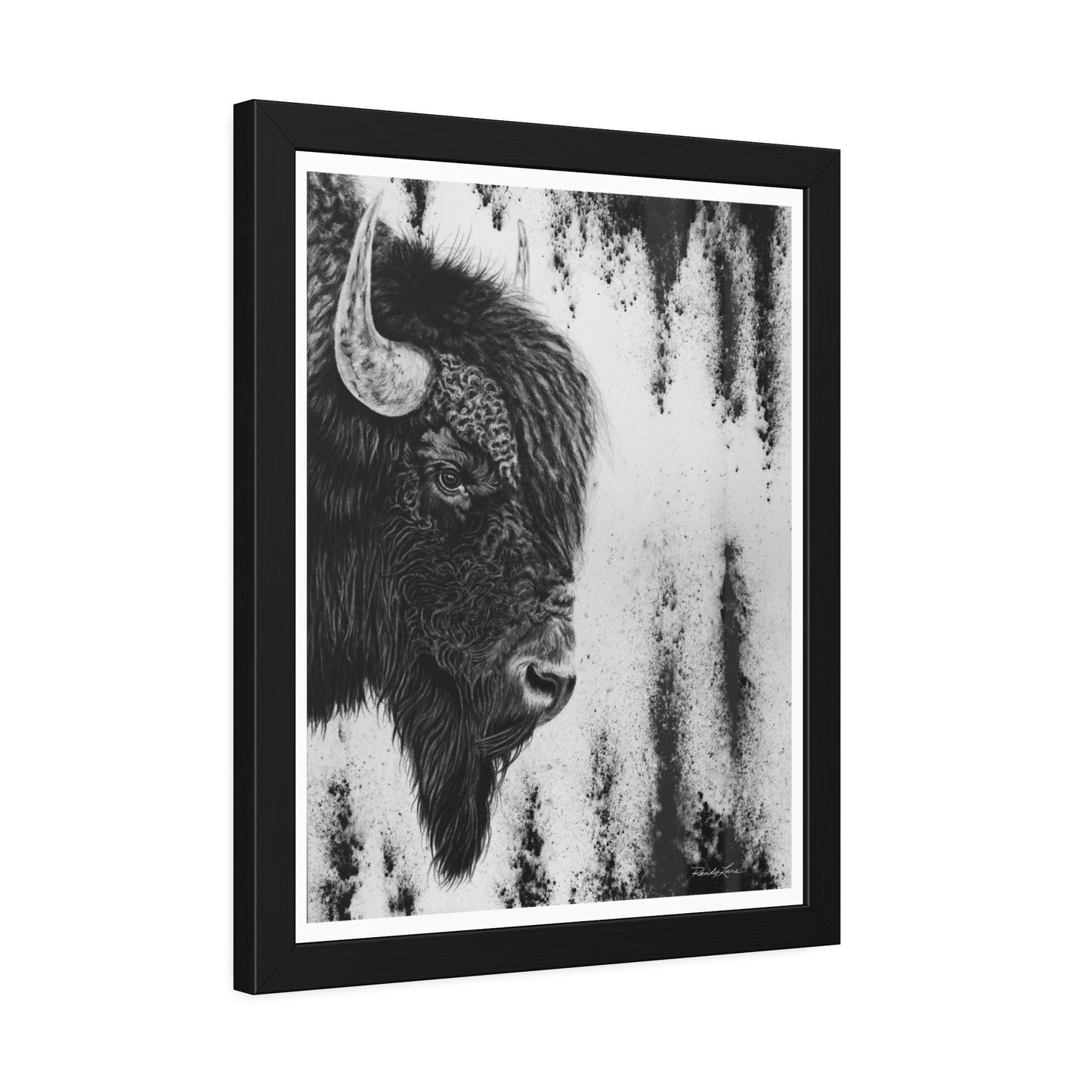 Pride, Bison Framed Fine Art Prints