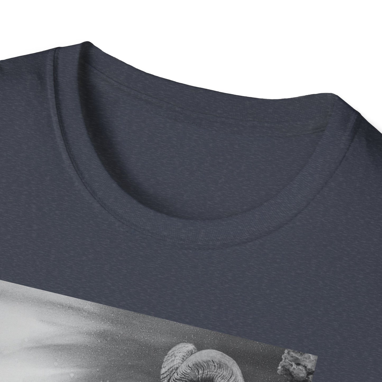 Legendary, Bighorn Sheep Unisex Softstyle Tee