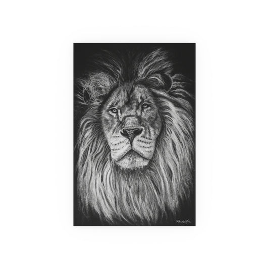 The Mane Event, Lion Fine Art Print (Satin/Matte)