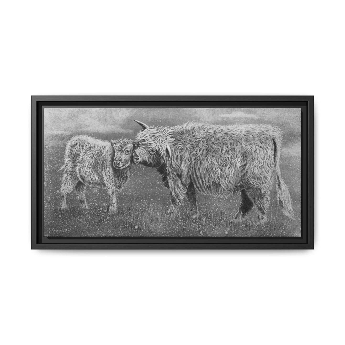 Highland Love, Highland Cattle Framed Canvas Art Print