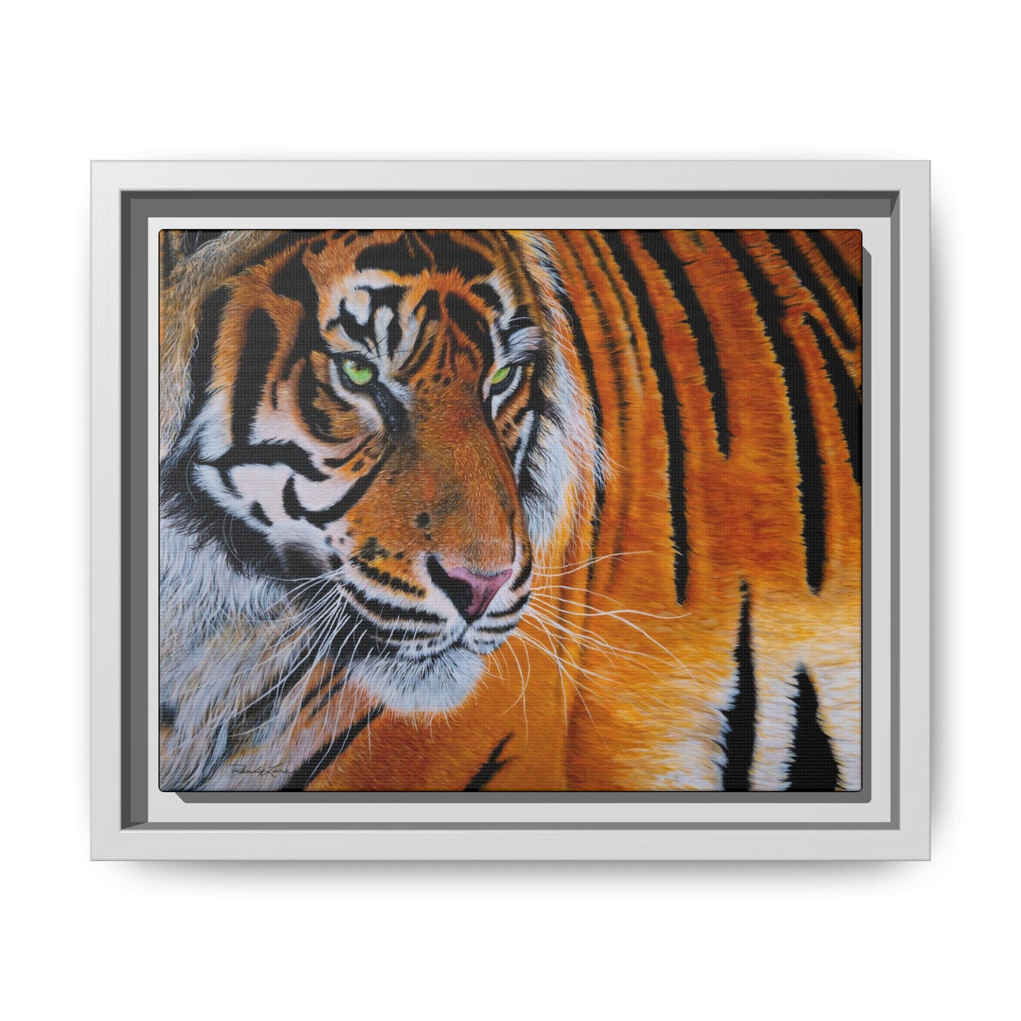 Tiger Stripe, Framed Tiger Canvas Print