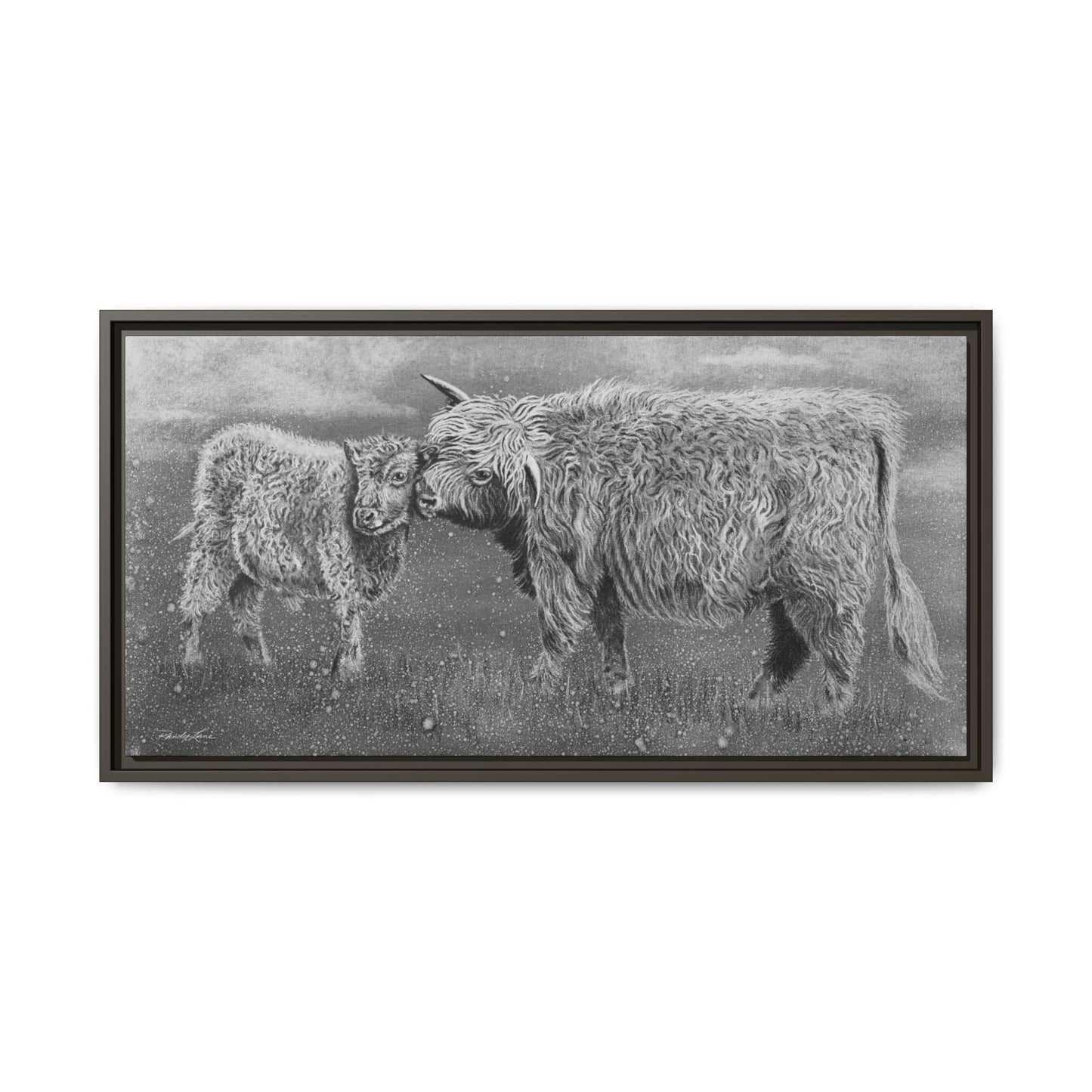 Highland Love, Highland Cattle Framed Canvas Art Print