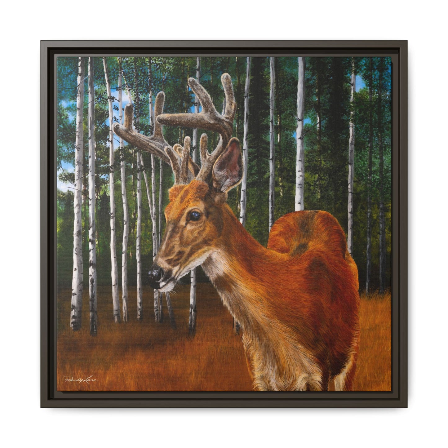 Velvet Crush, Framed Deer Canvas Art