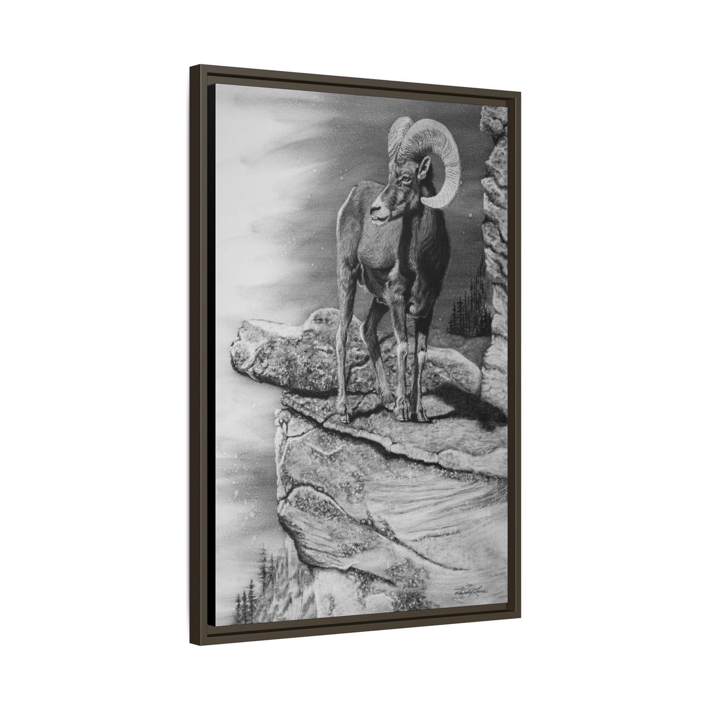 Legendary, Bighorn Sheep Framed Matte Stretched Canvas
