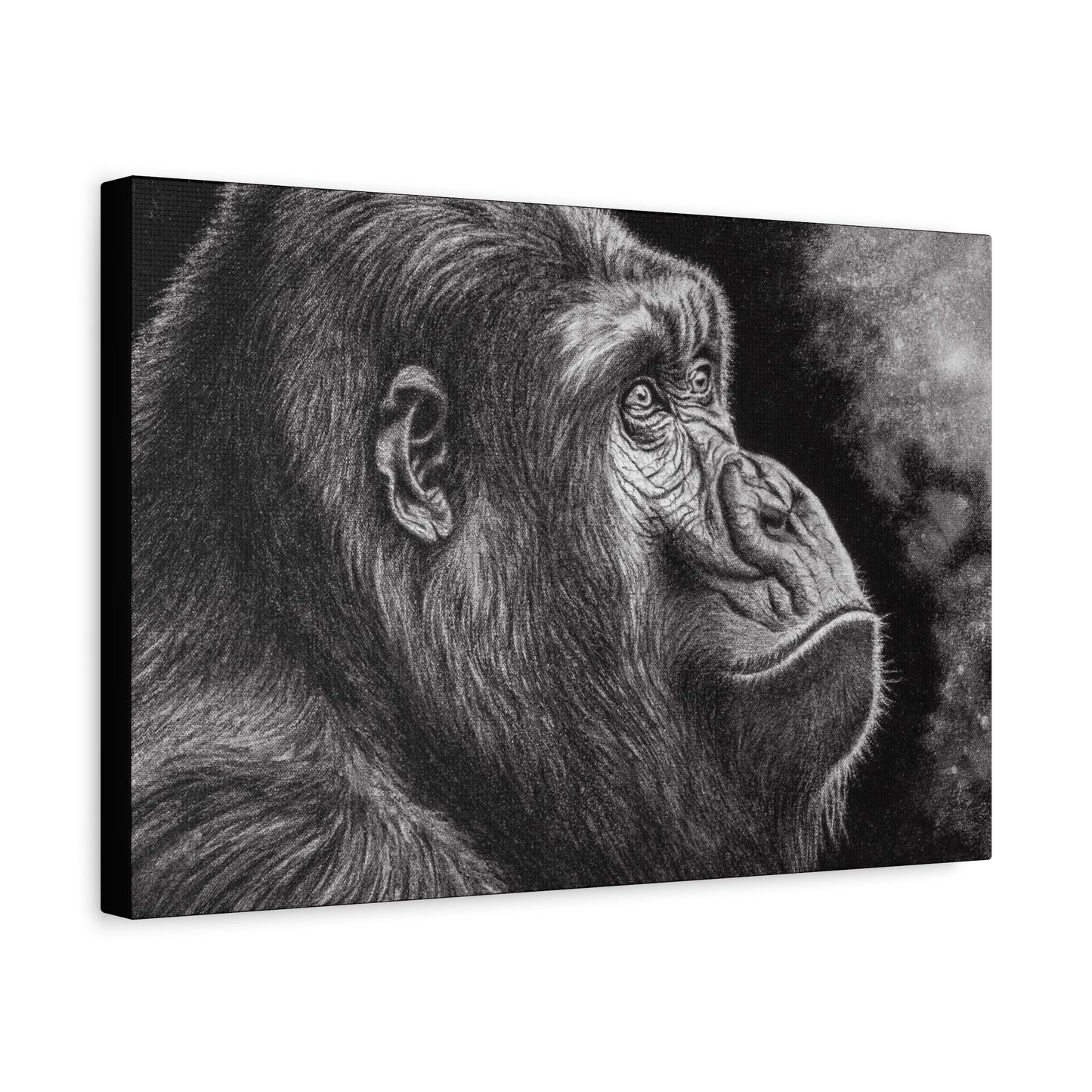 Gorilla, Matte Canvas, Stretched, 1.25"