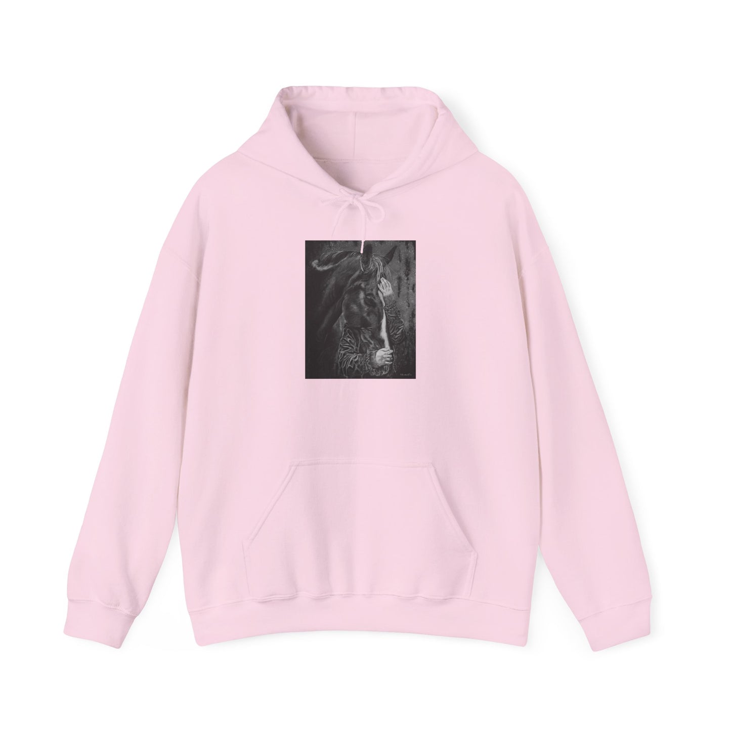 Secrets. Horse Lover's Unisex Hooded Sweatshirt