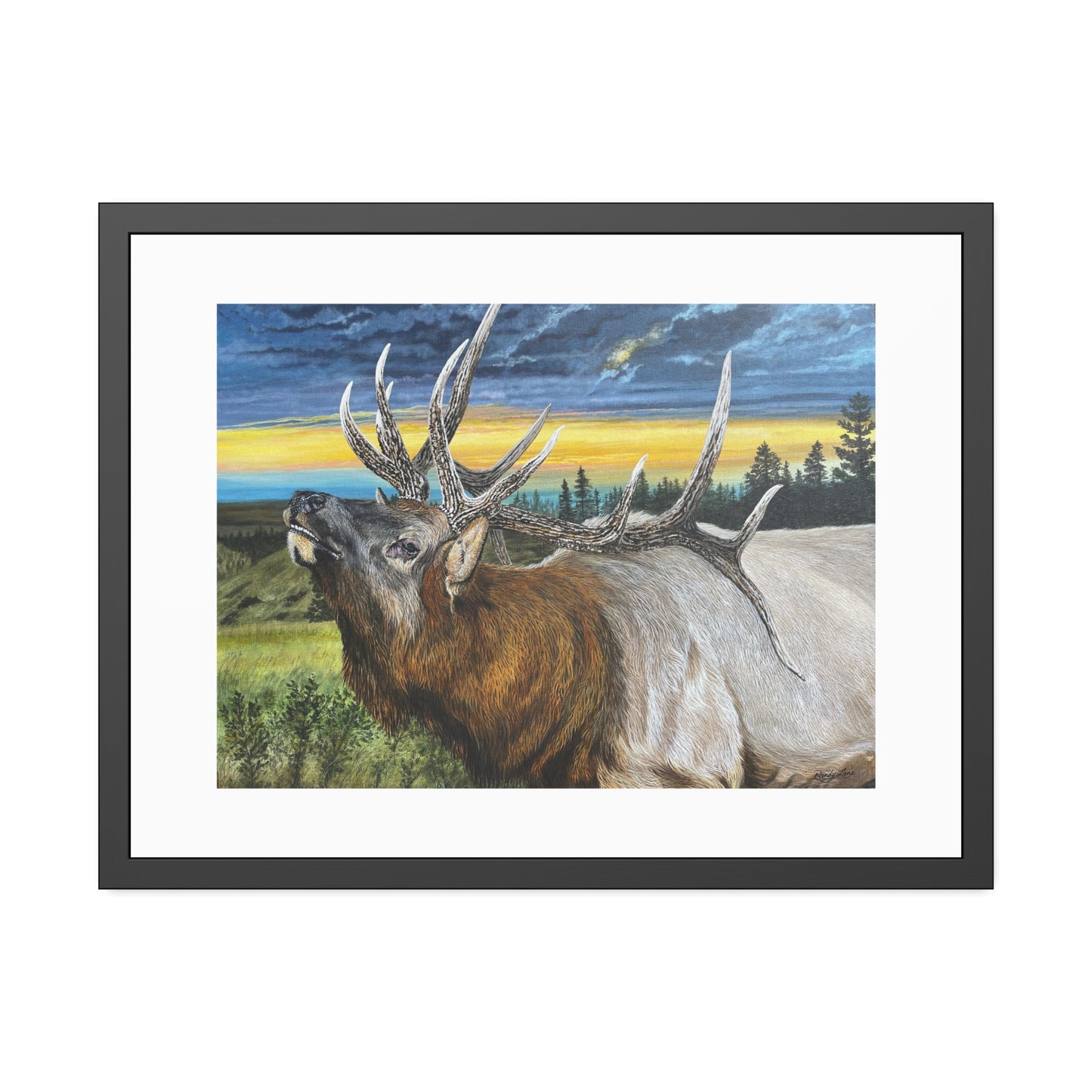 Sunset Serenade, Elk Framed Fine Art Print