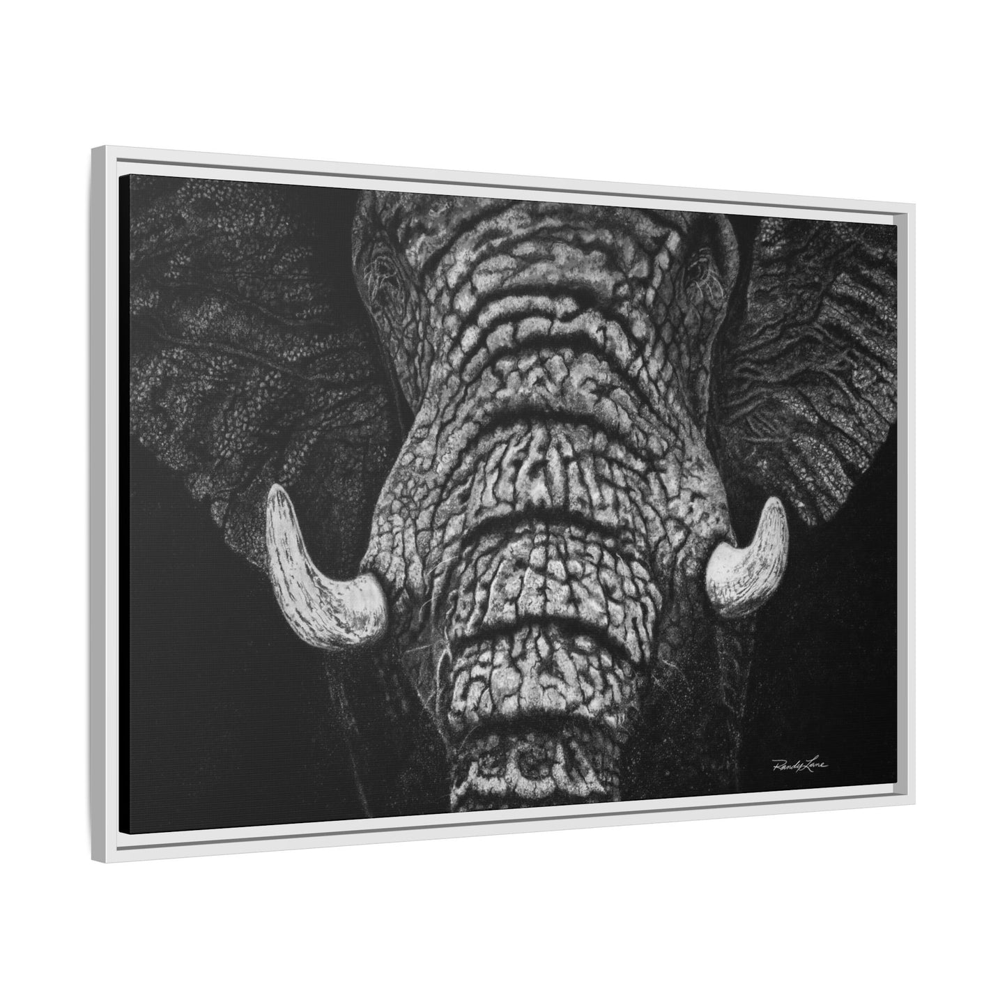 Ebony and Ivory, Elephant Portrait Framed Canvas Wall Art