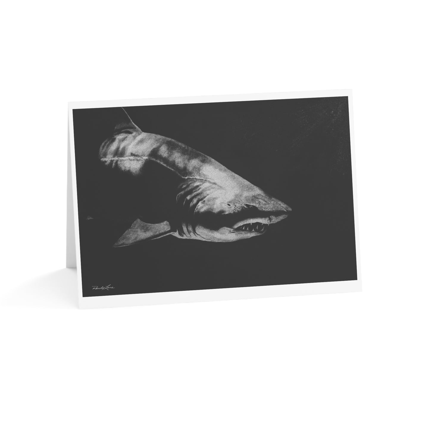 Below, Shark-Themed Greeting Cards, Unique Note Cards for All Occasions, Set of 1/10/30/50