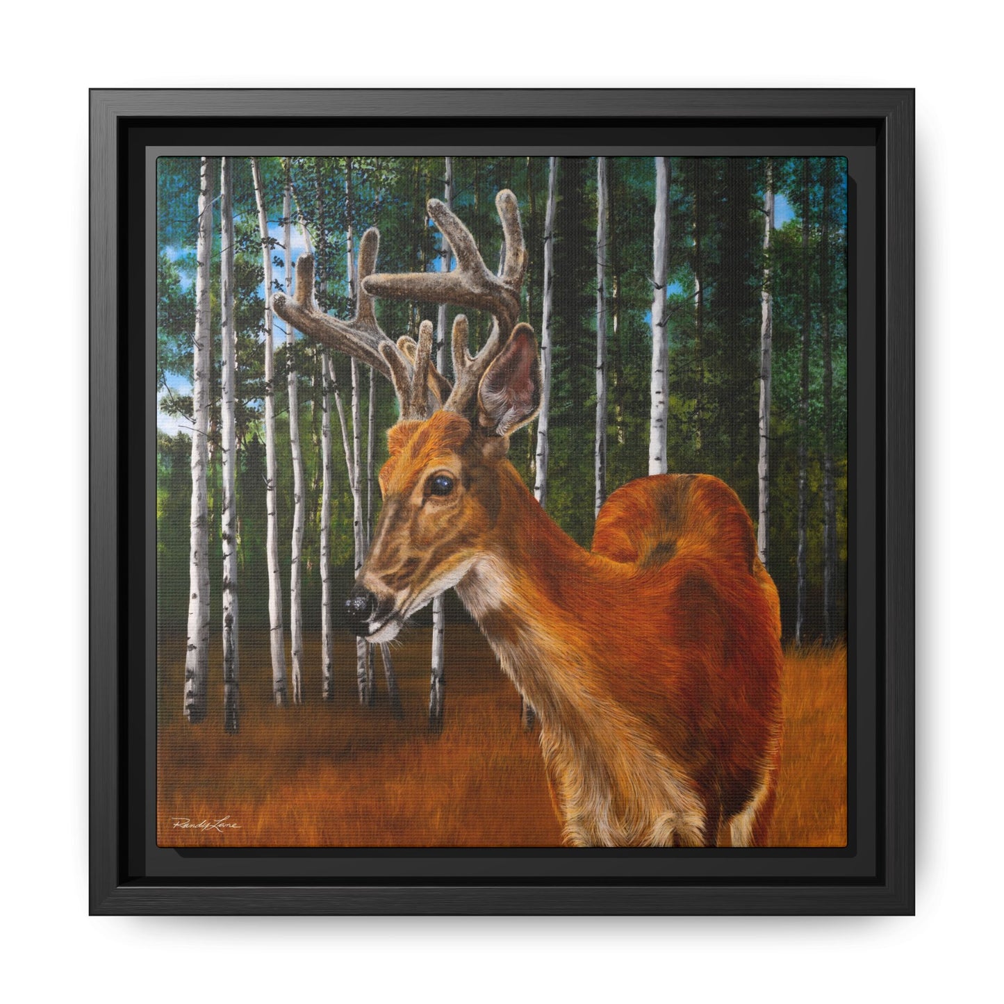 Velvet Crush, Framed Deer Canvas Art