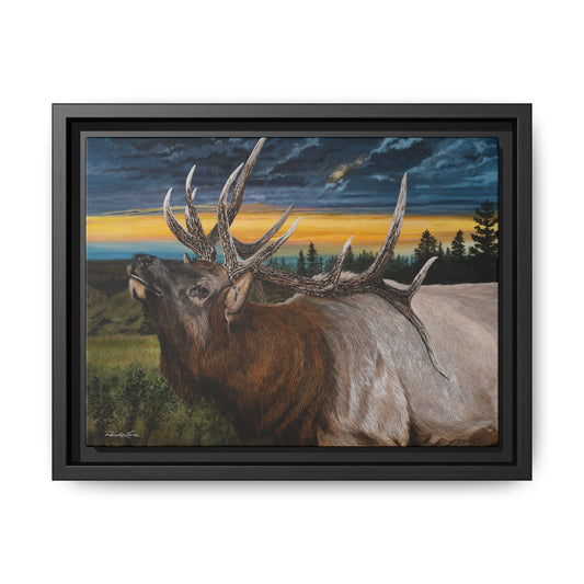Sunset Serenade,  Elk Framed Matte Canvas Print