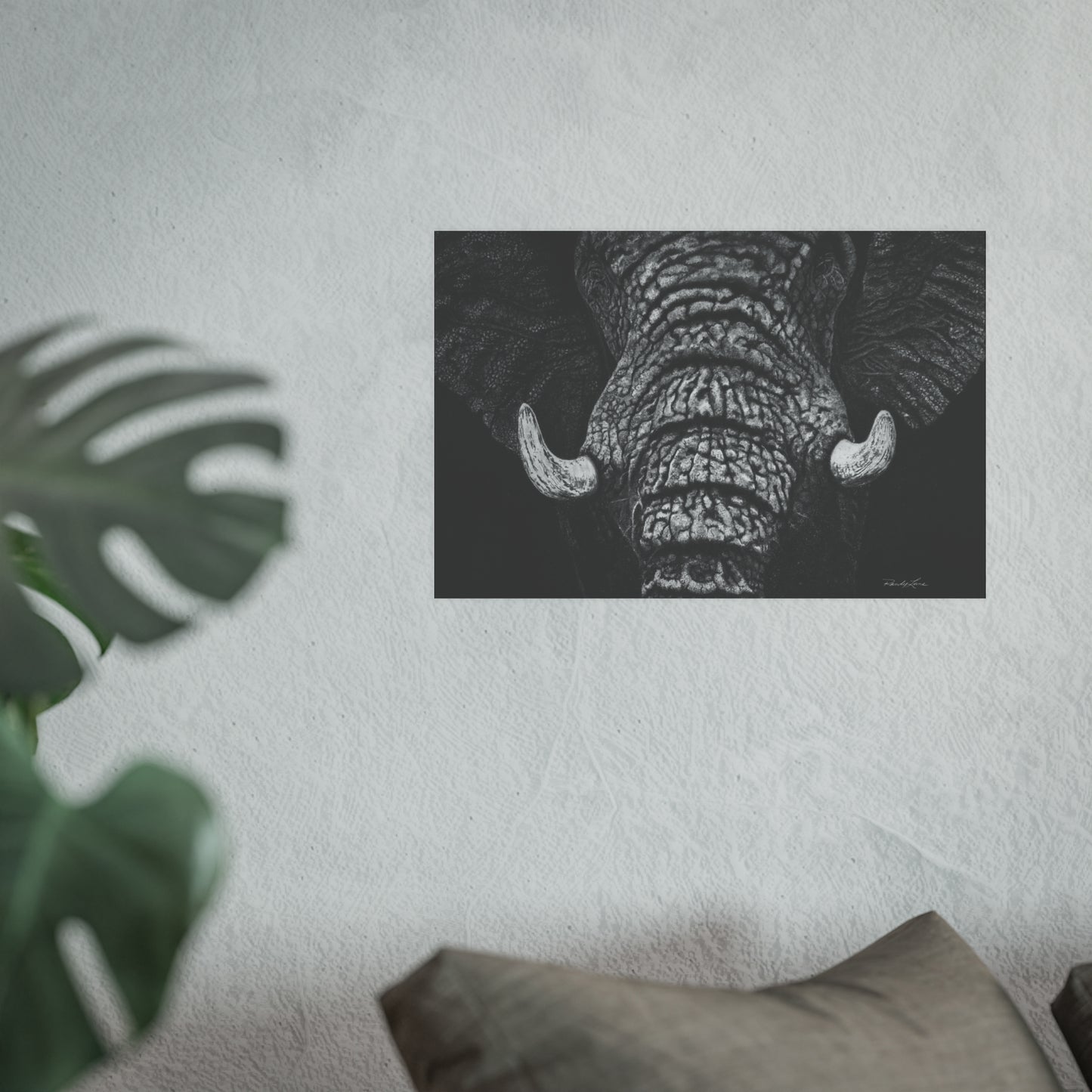 Ebony and Ivory, Elephant Portrait Fine Art Print (Satin/Archival Matte)
