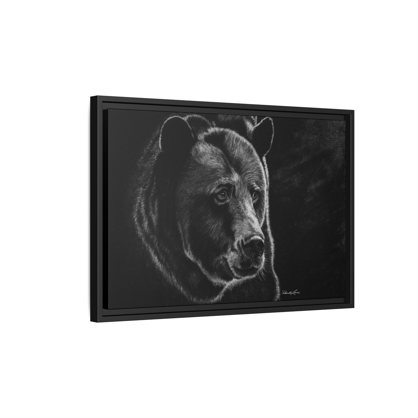 Dominance, Bear Portrait Stretched Framed Matte Canvas Print
