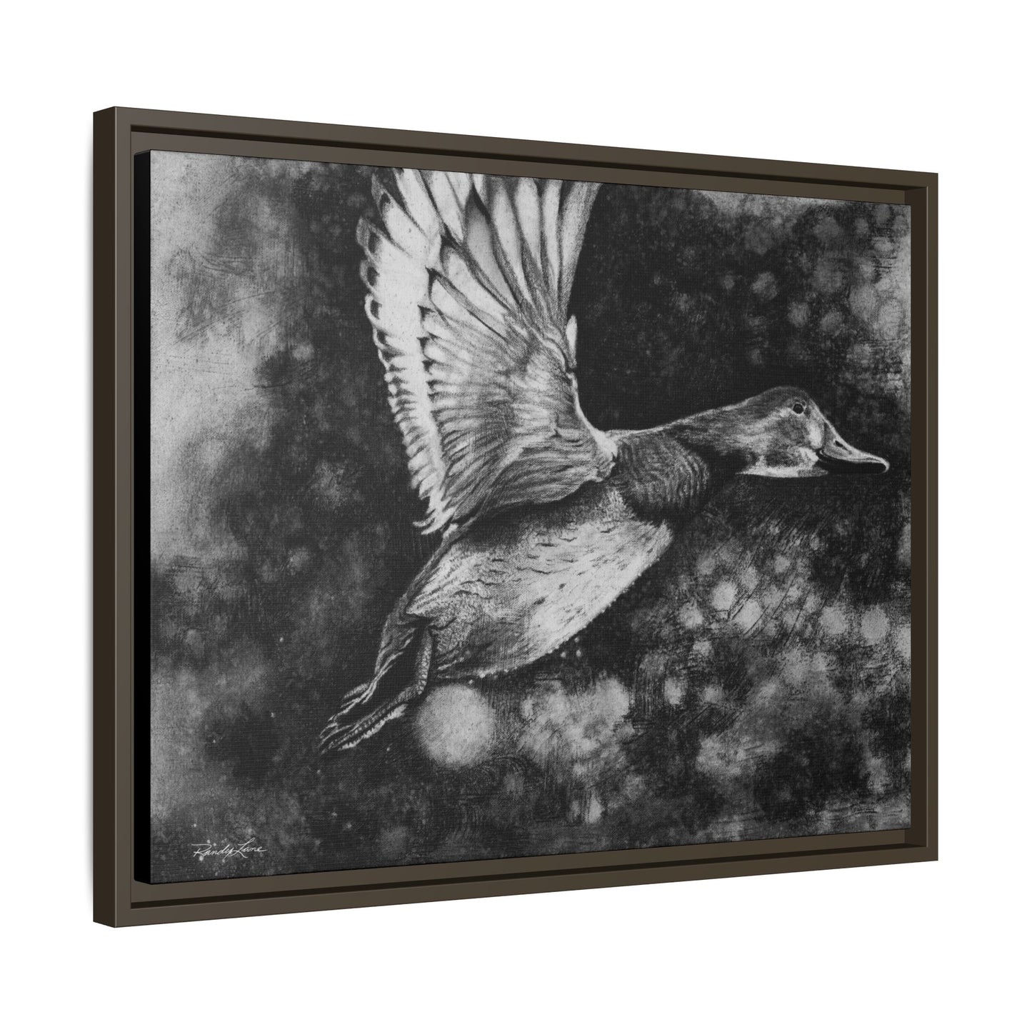 Flare, Framed Duck Canvas Art