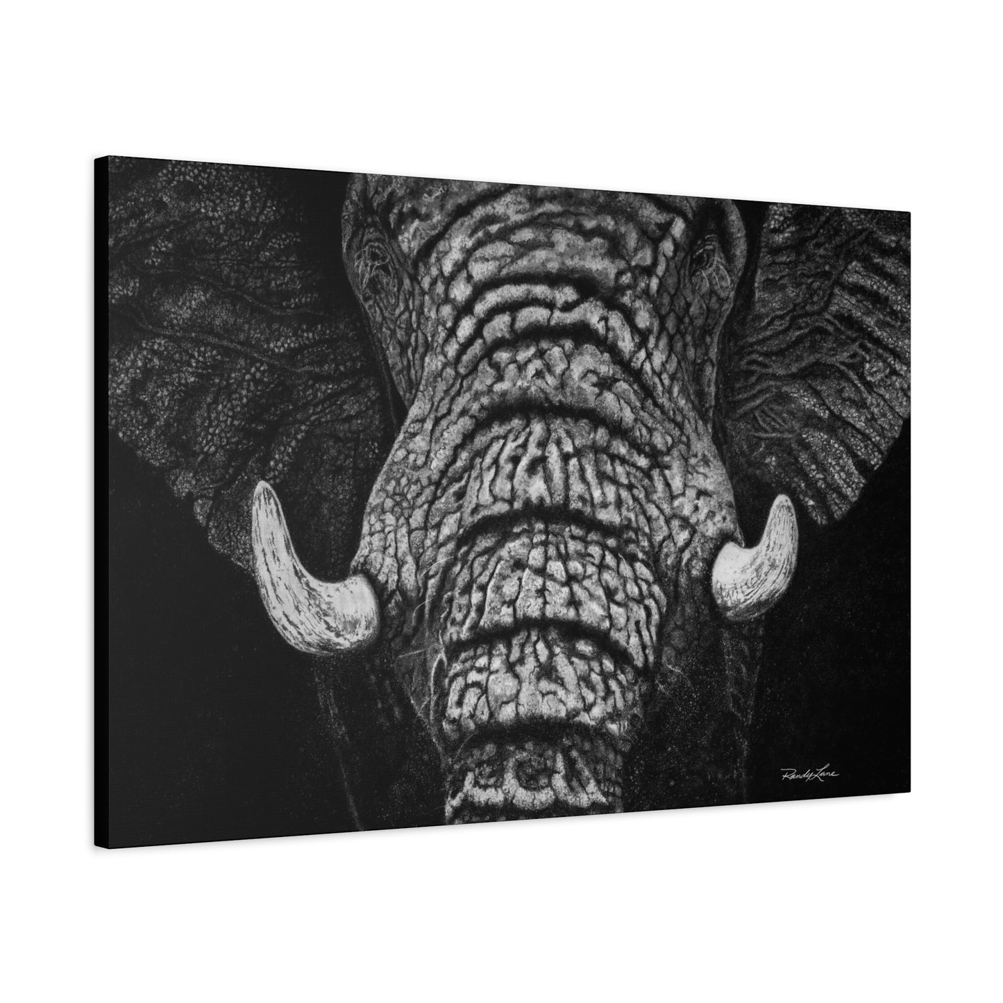 Ebony and Ivory, Stretched Canvas Wall Art Featuring Majestic Elephant
