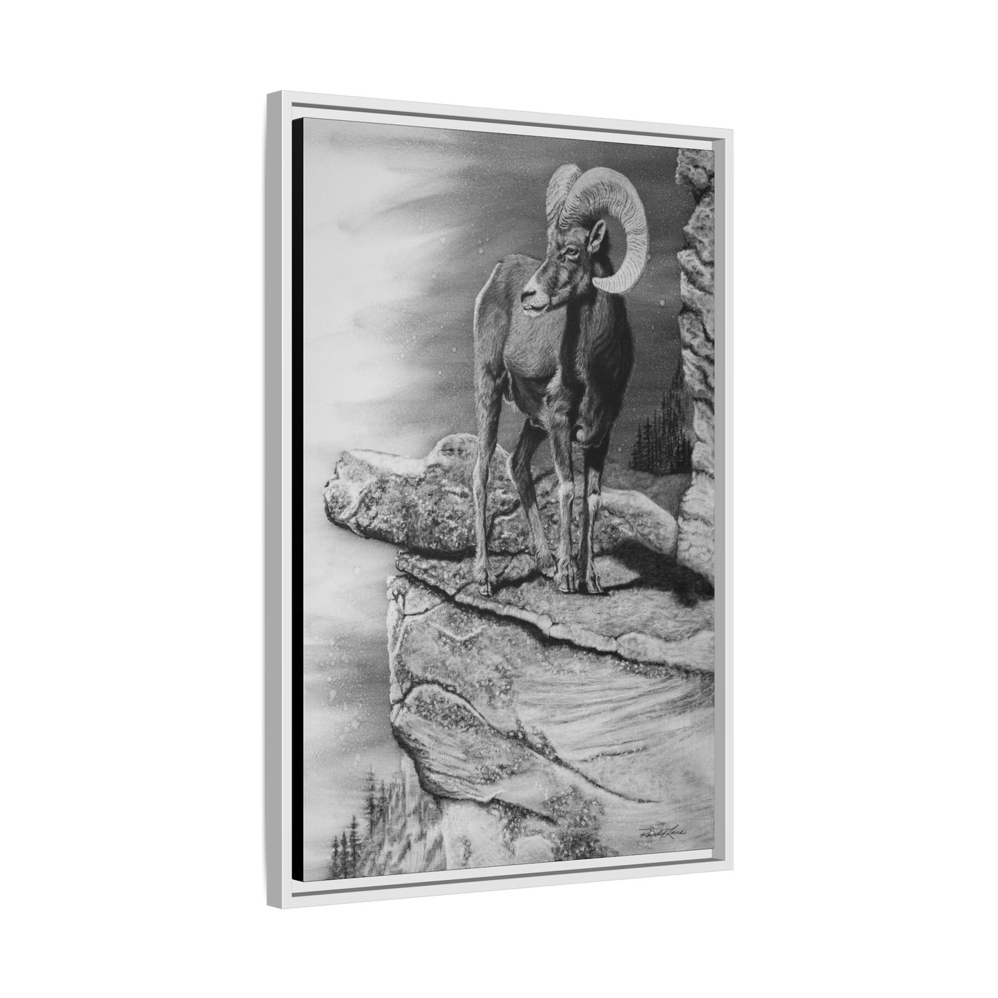Legendary, Bighorn Sheep Framed Matte Stretched Canvas