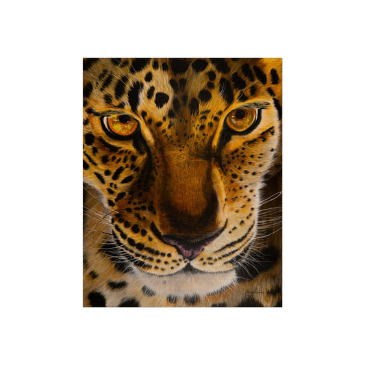 Windows to the Soul,  Fine Art Leopard Print