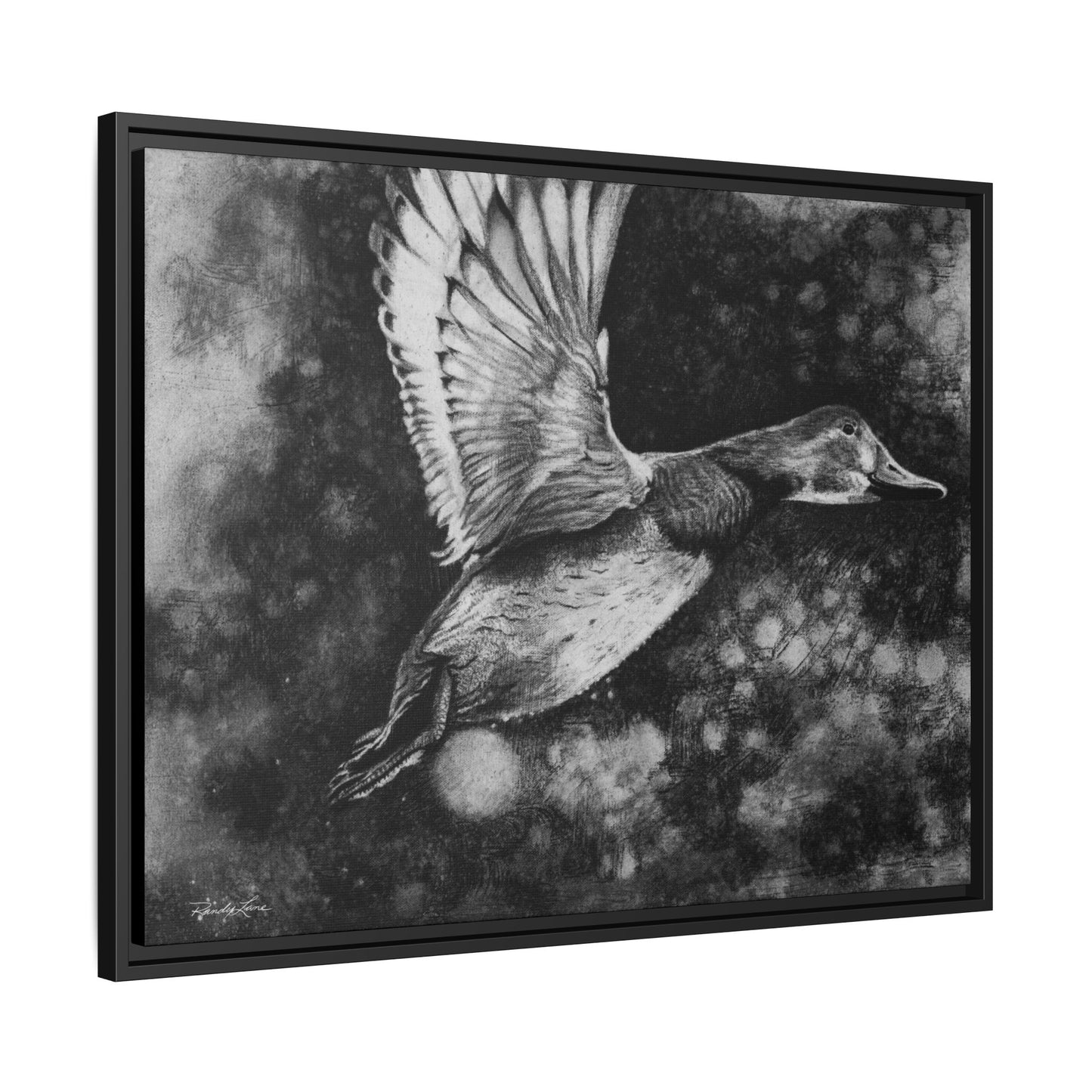 Flare, Framed Duck Canvas Art