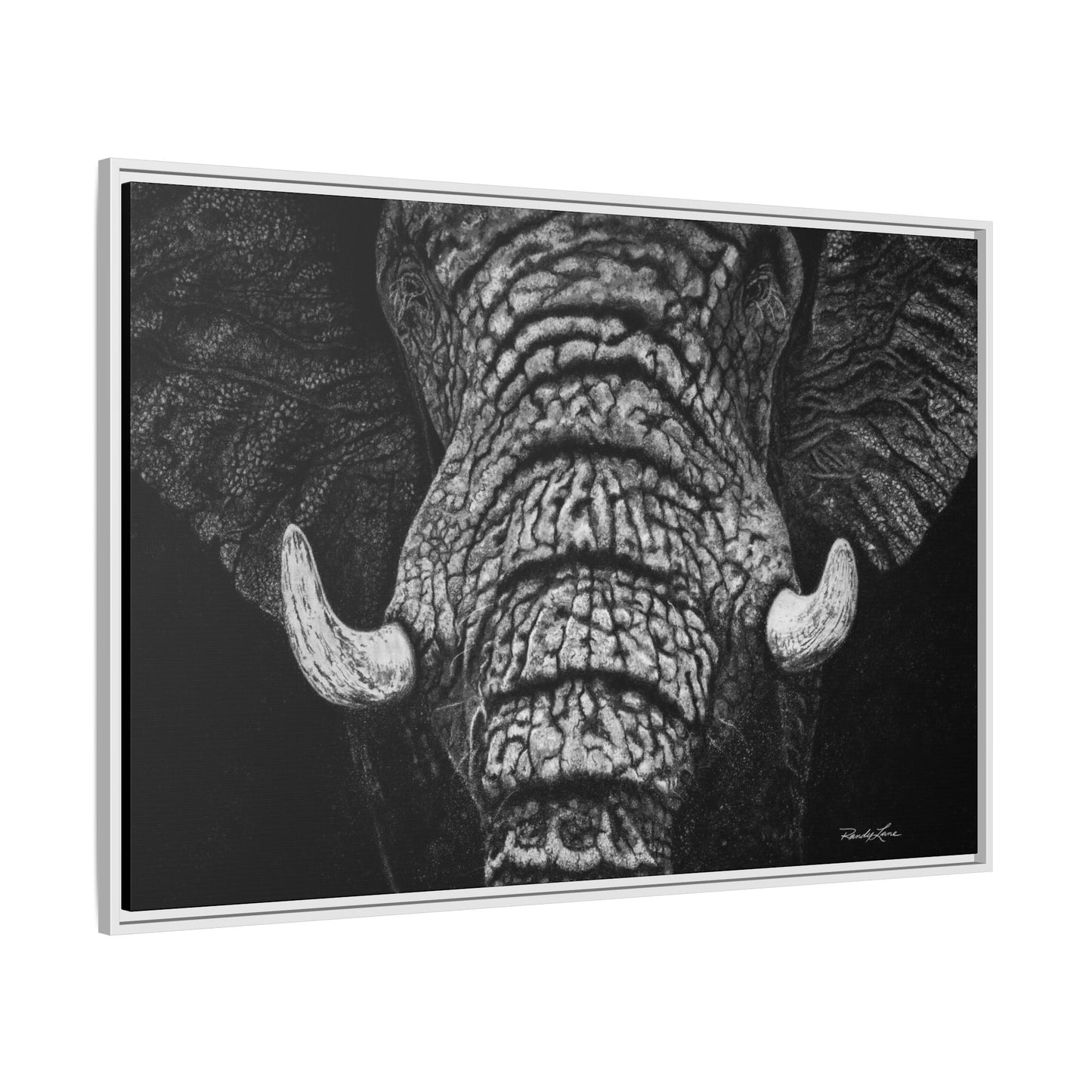 Ebony and Ivory, Elephant Portrait Framed Canvas Wall Art