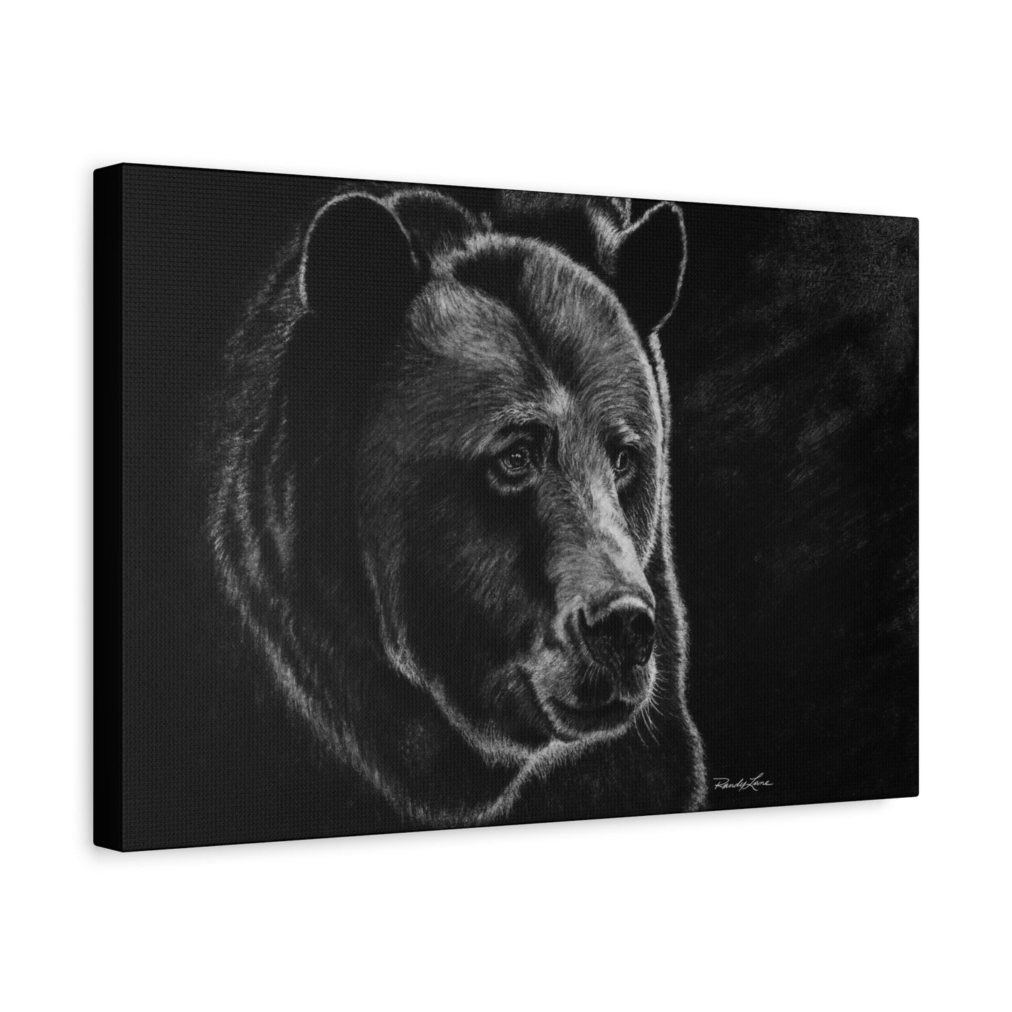 Dominance, Stretched Canvas Bear Print