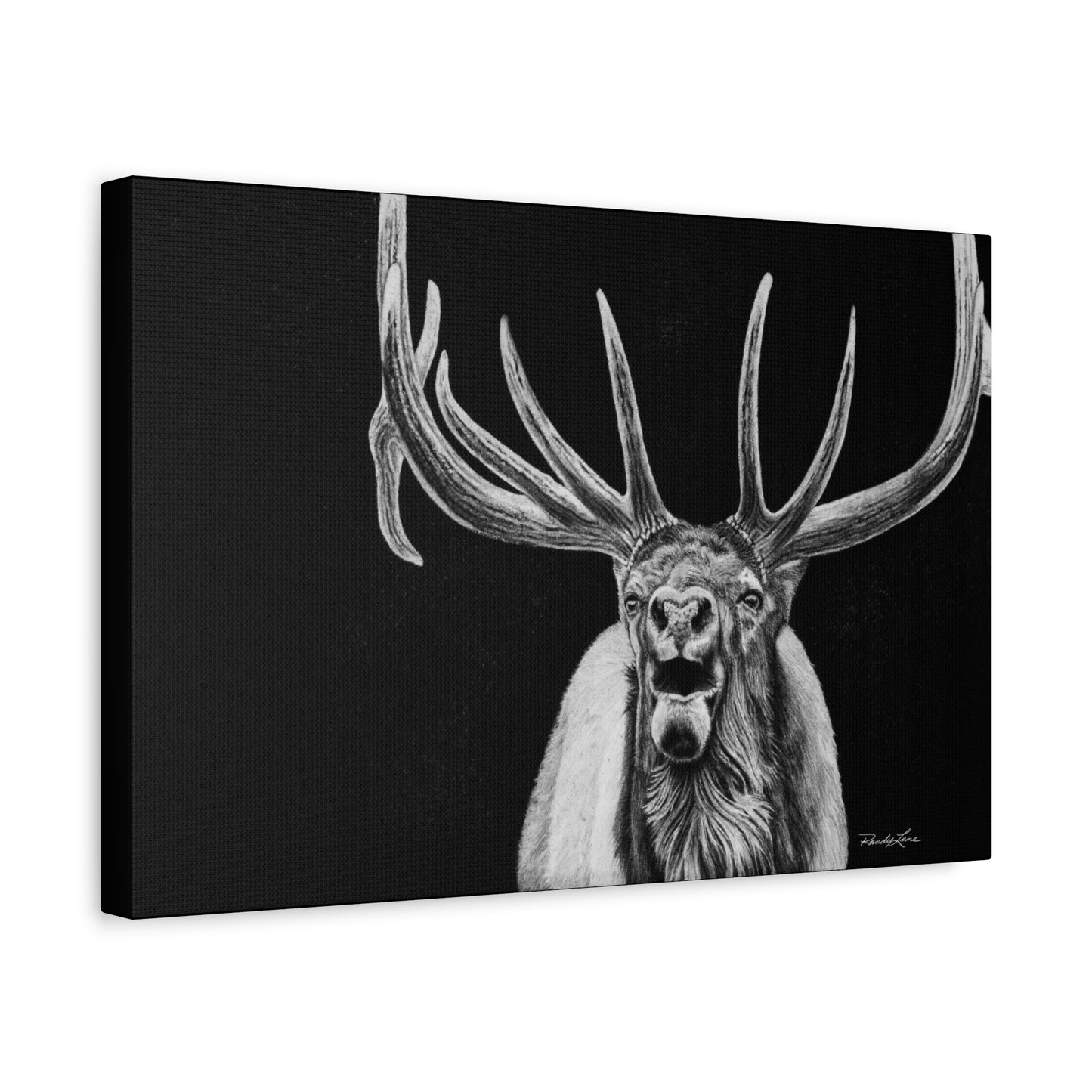 Heavy is the Crown, Matte Canvas Elk, Stretched, 1.25"