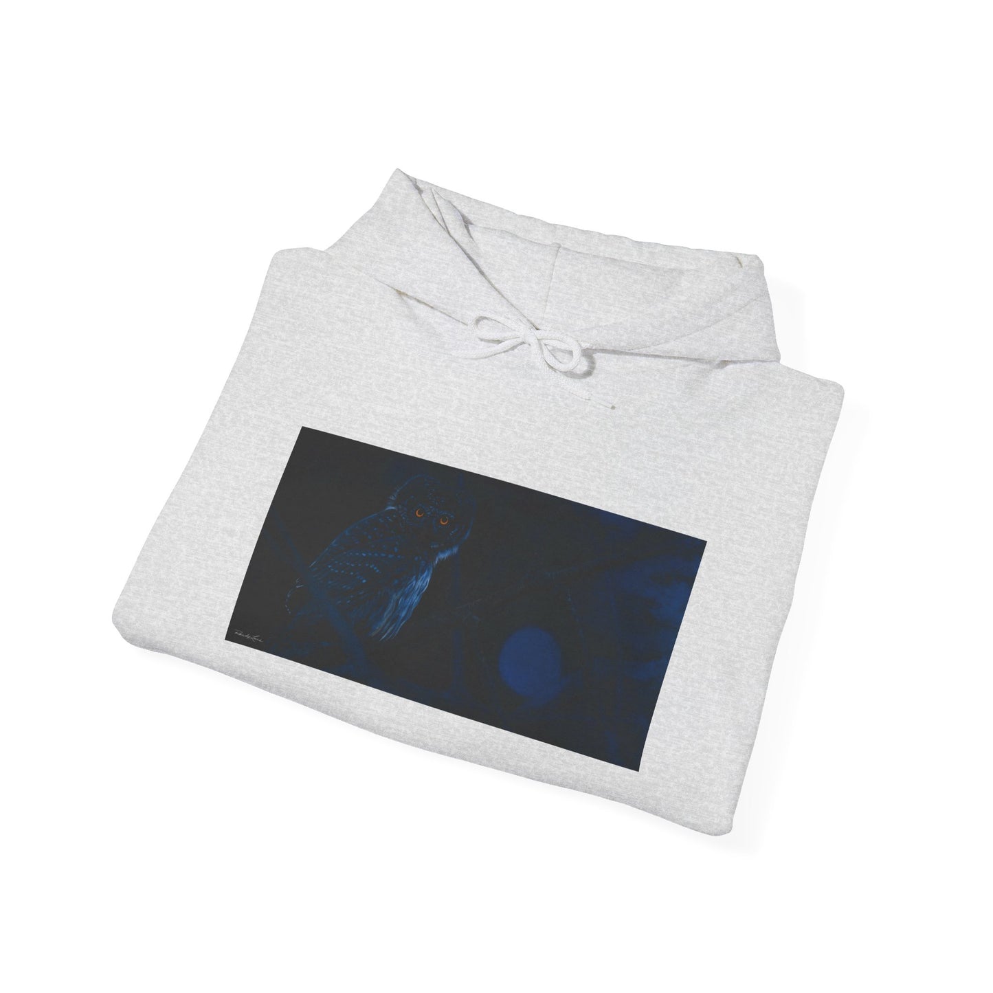 Bright Eyes, Owl print Cozy Unisex Hooded Sweatshirt