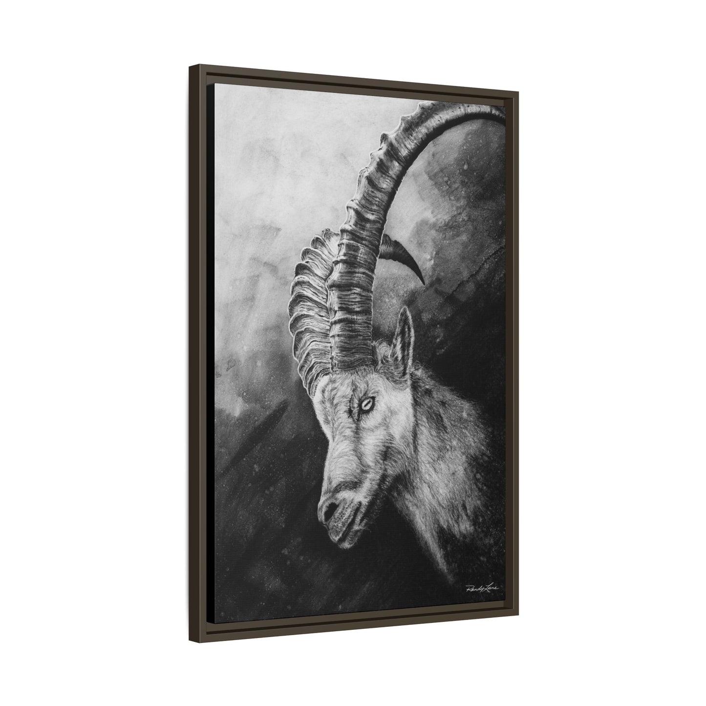 Apex,  Alpine Mountain Goat, Framed Matte Canvas Art Print,