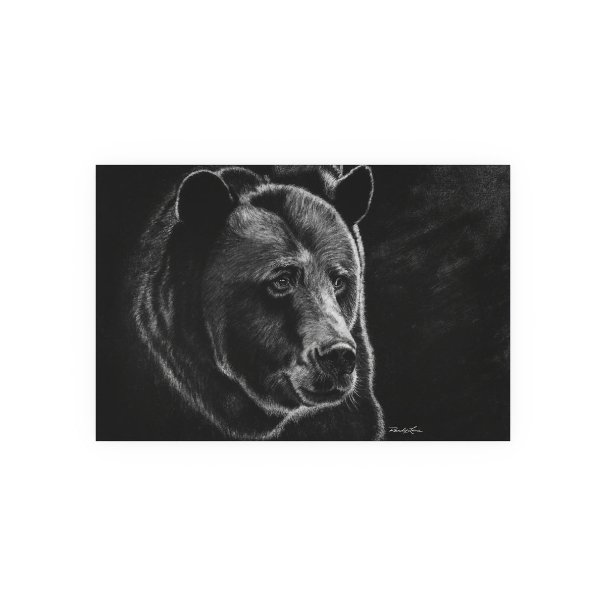 Dominance, Bear, Fine Art Print