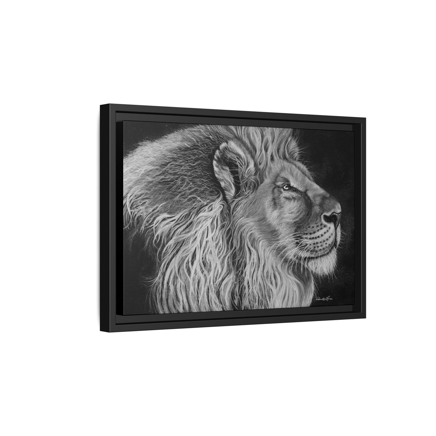 King of Cool, Majestic Lion Framed Canvas Art
