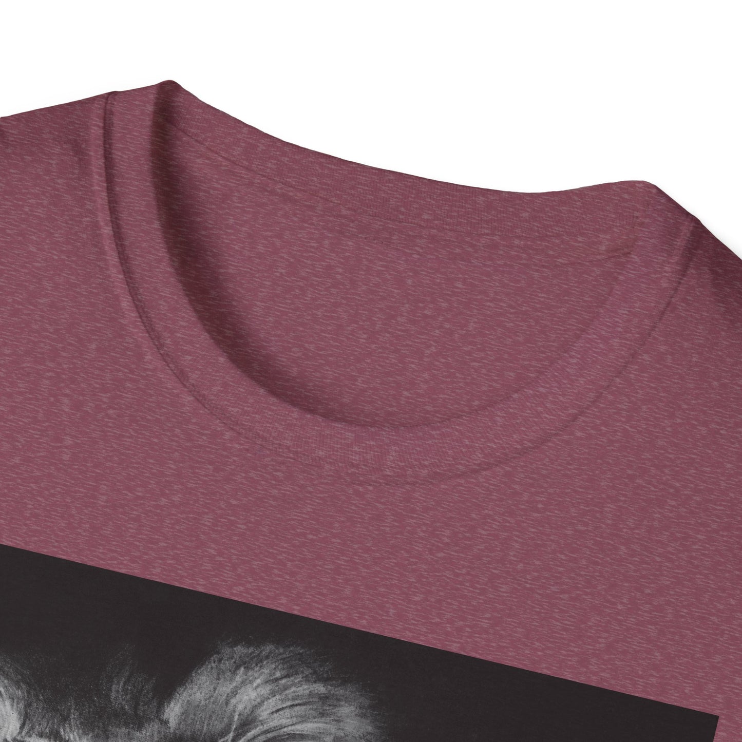 Renown, Lion Graphic T-Shirt, Unisex Lion Tee
