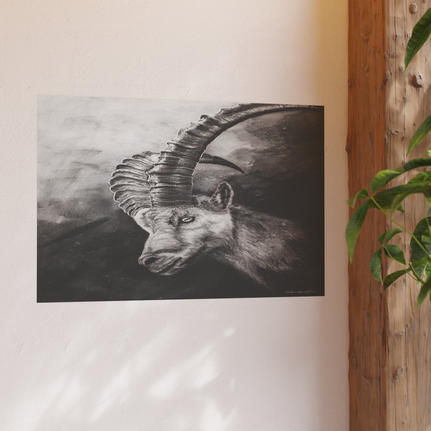 Apex, Alpine Ibex Archival Matte Fine Art Print