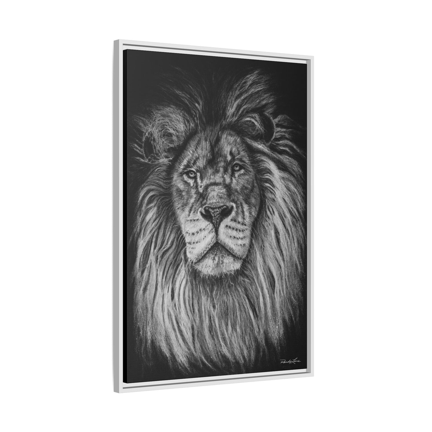 The Mane Event, Matte Canvas Lion Prints, Framed (Multi-color)
