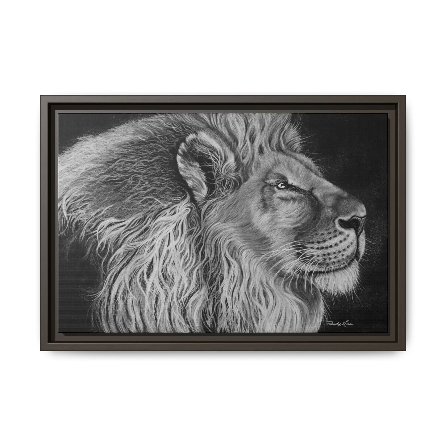 King of Cool, Majestic Lion Framed Canvas Art