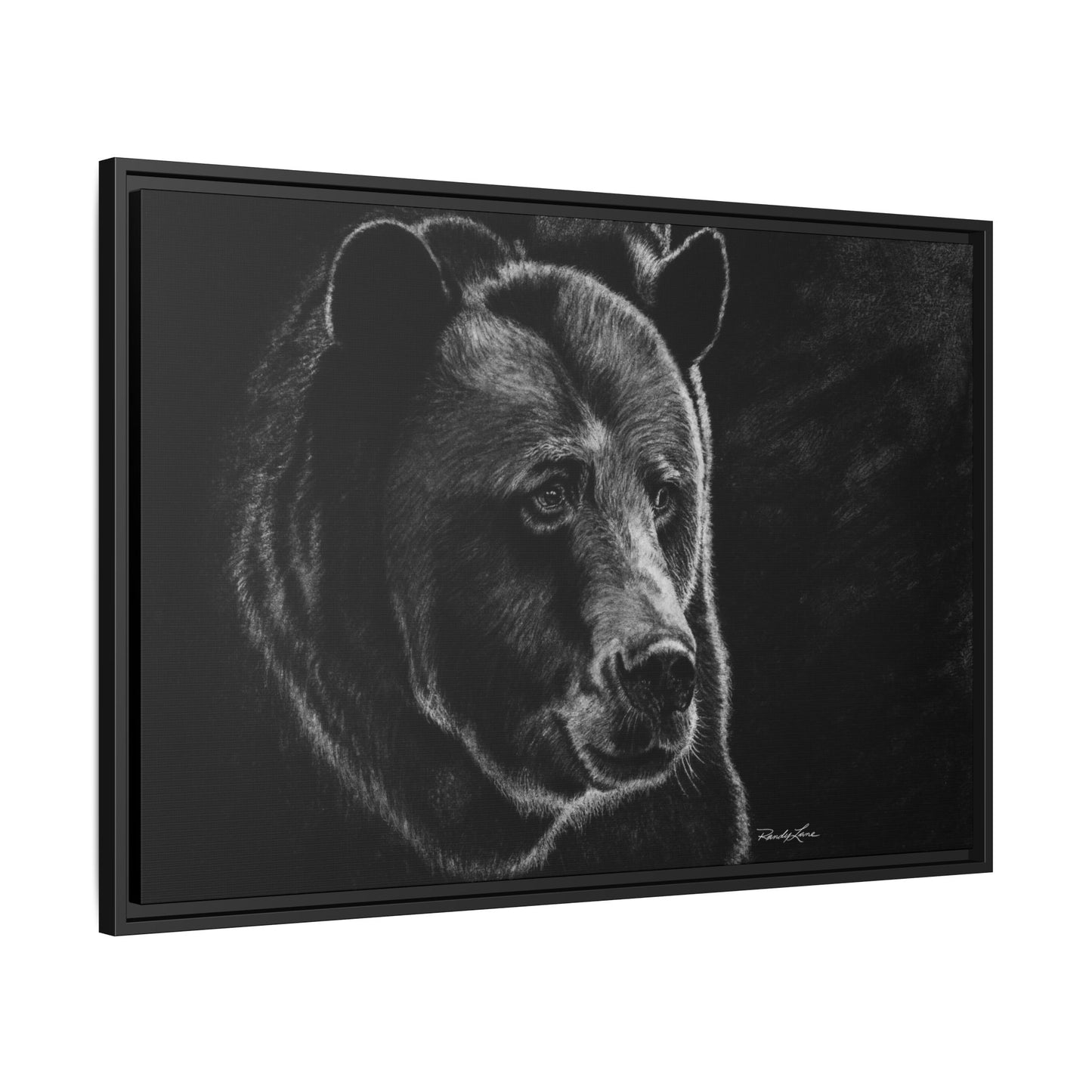 Dominance, Bear Portrait Stretched Framed Matte Canvas Print