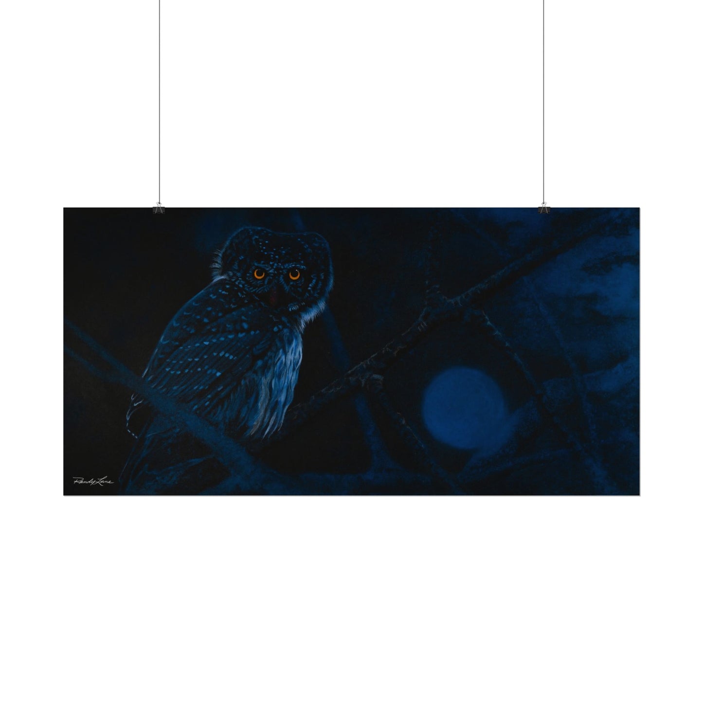 Bright Eyes, Owl Textured Art Print