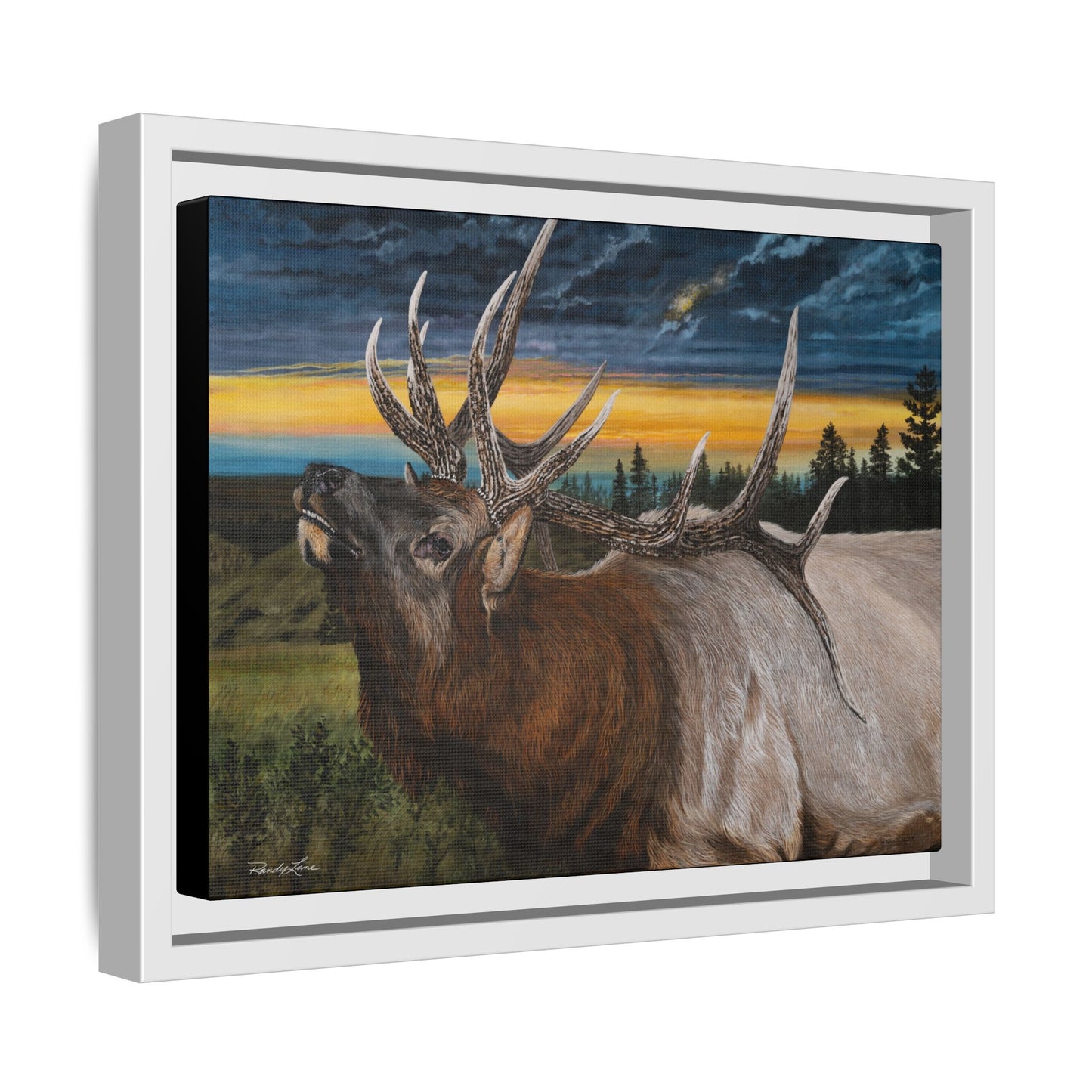 Sunset Serenade,  Elk Framed Matte Canvas Print