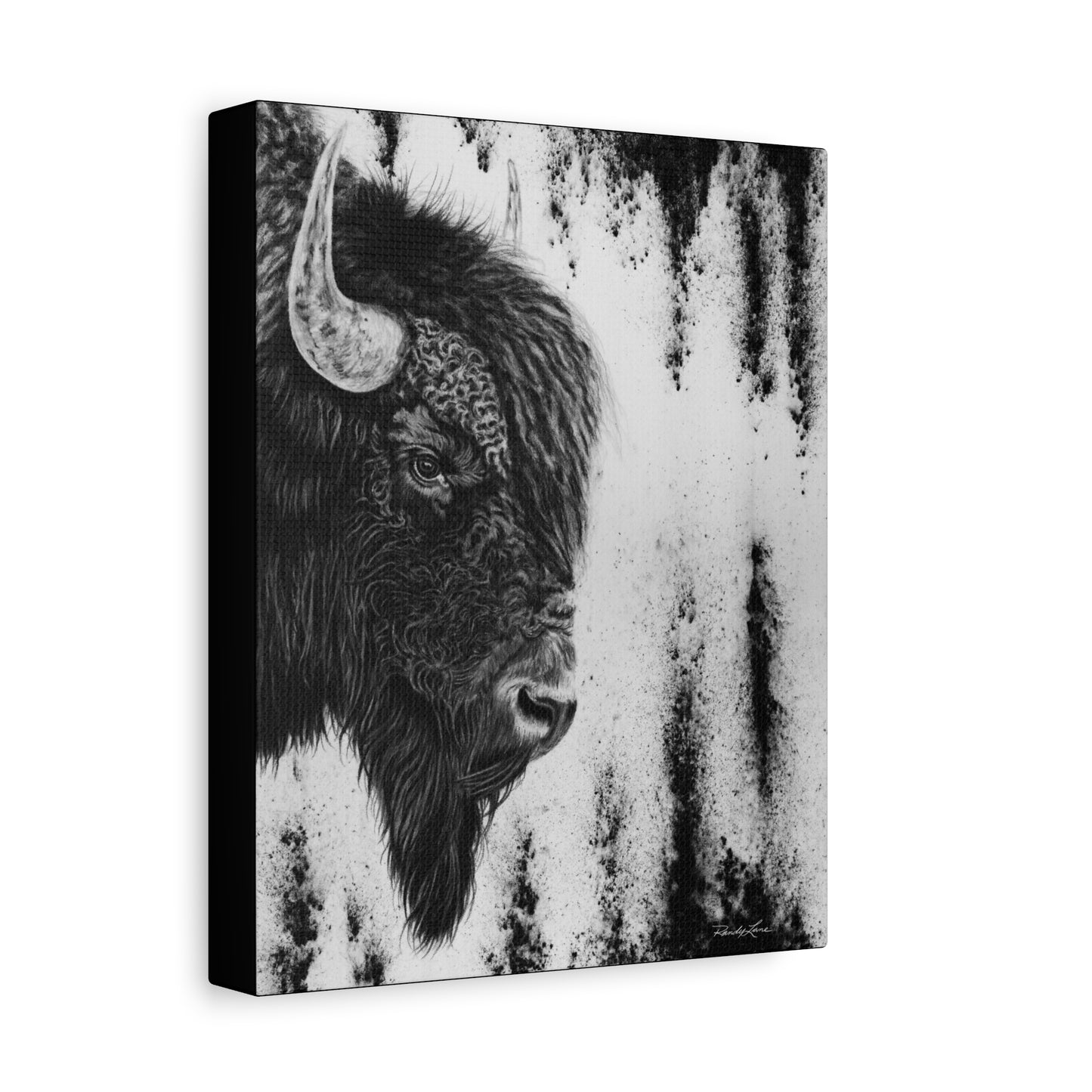 Pride, Bison Stretched Canvas Wall Decor