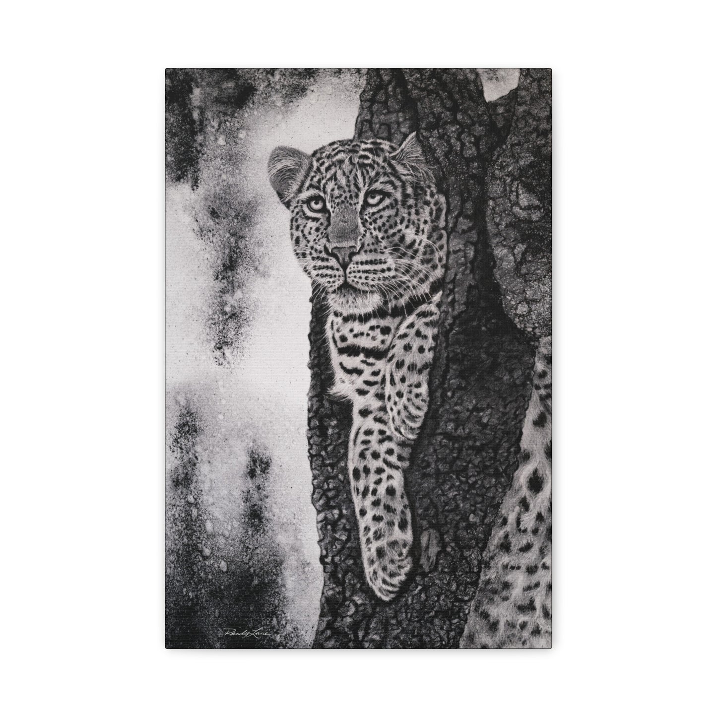 Tree Hugger, Leopard Wall Art Canvas Print